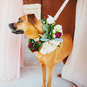 Ivory Buttercream Wedding Cake With Burgundy Flowers