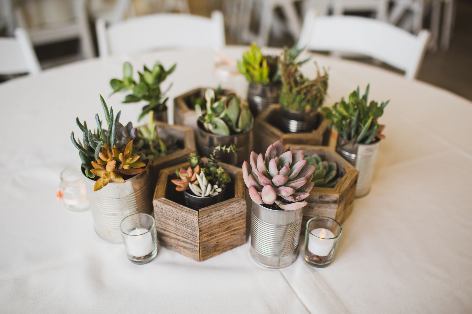 Wedding centerpieces deals with succulents