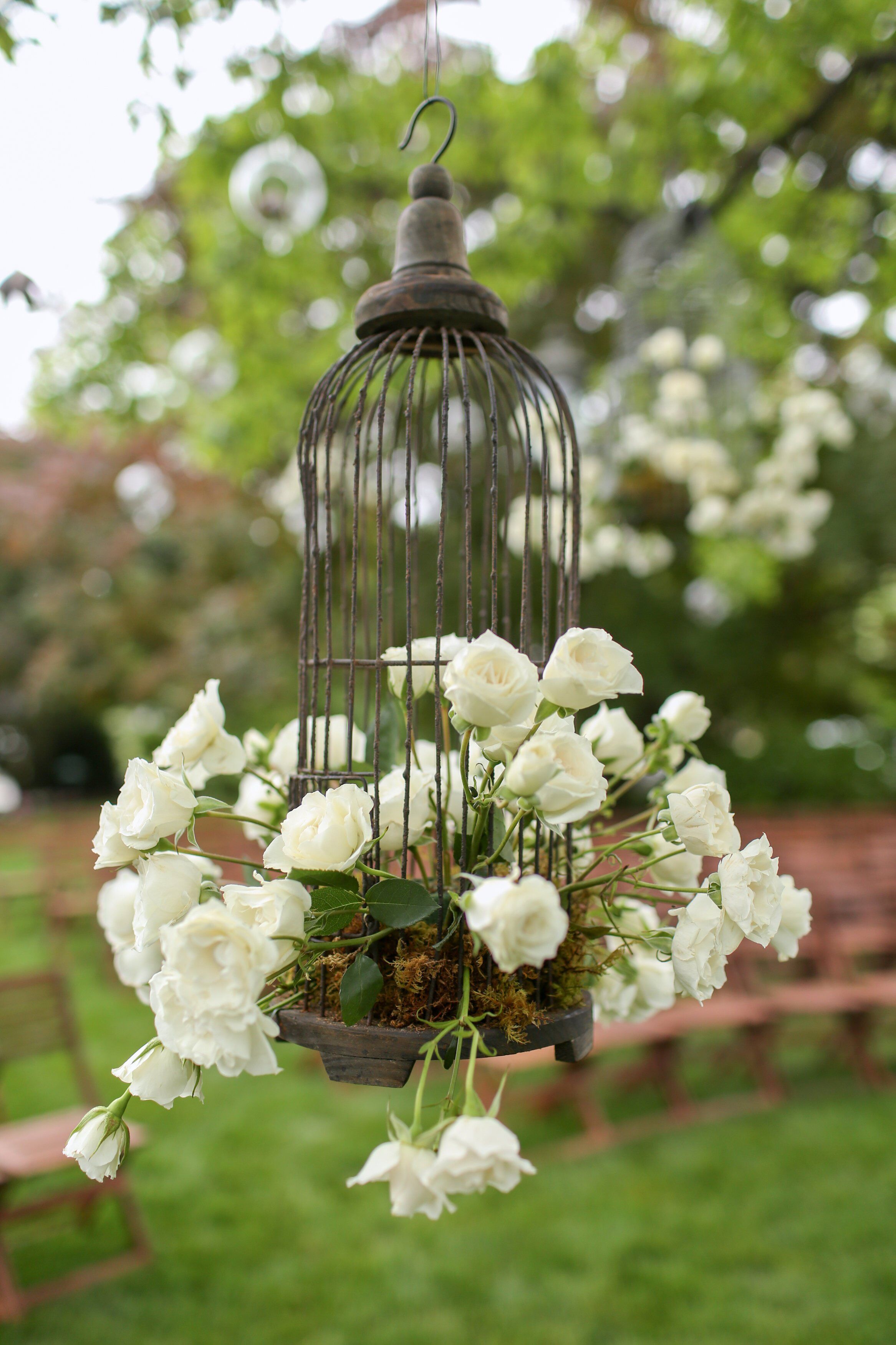 Birdcage Ceremony Decor