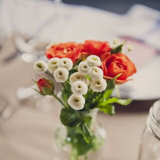 Wedding Programs Basics