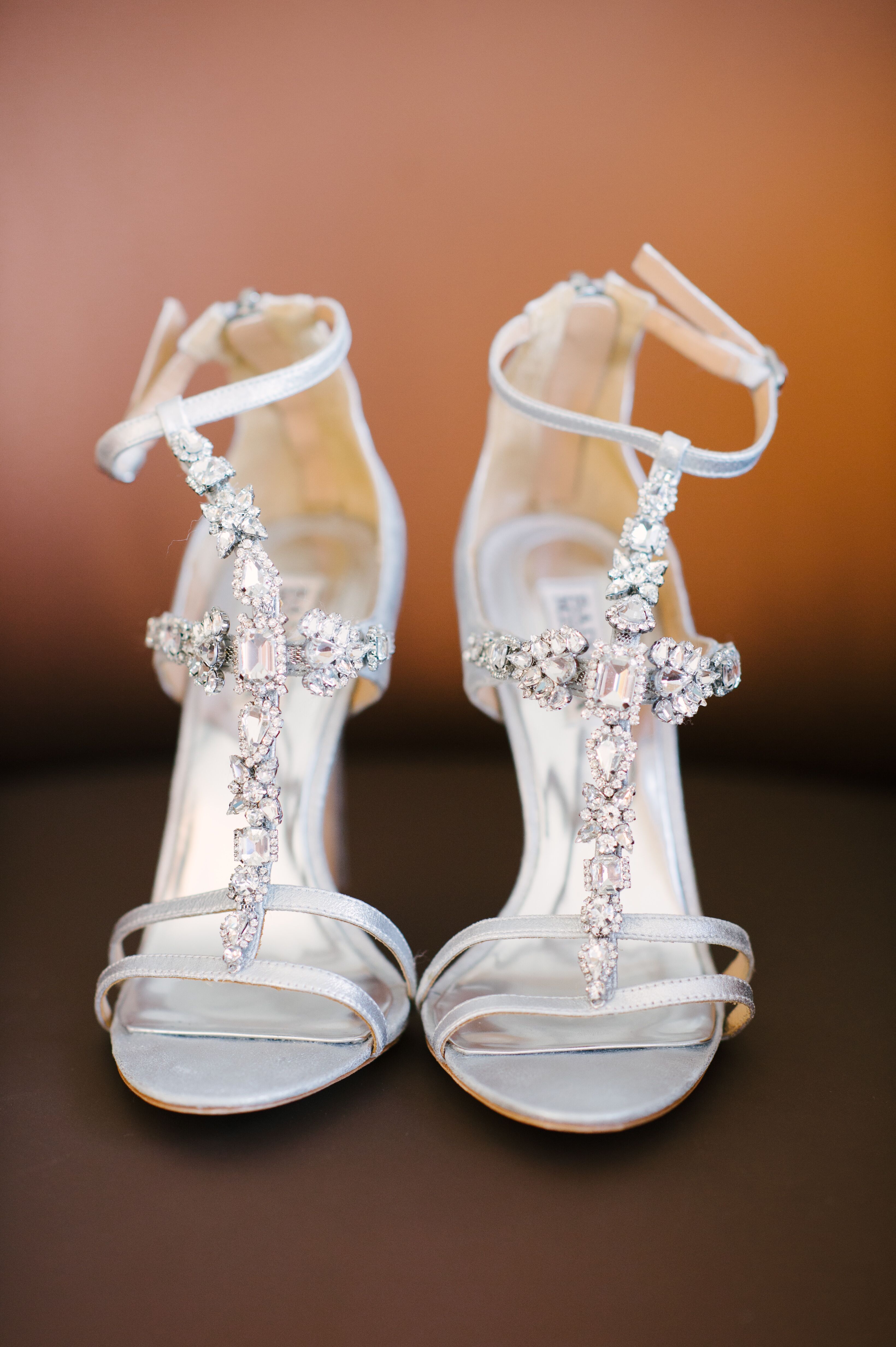 data sejr øretelefon Fun Silver Crystal Badgley Mischka Wedding Shoes