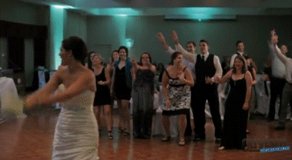 Funniest Wedding GIFs on the Internet