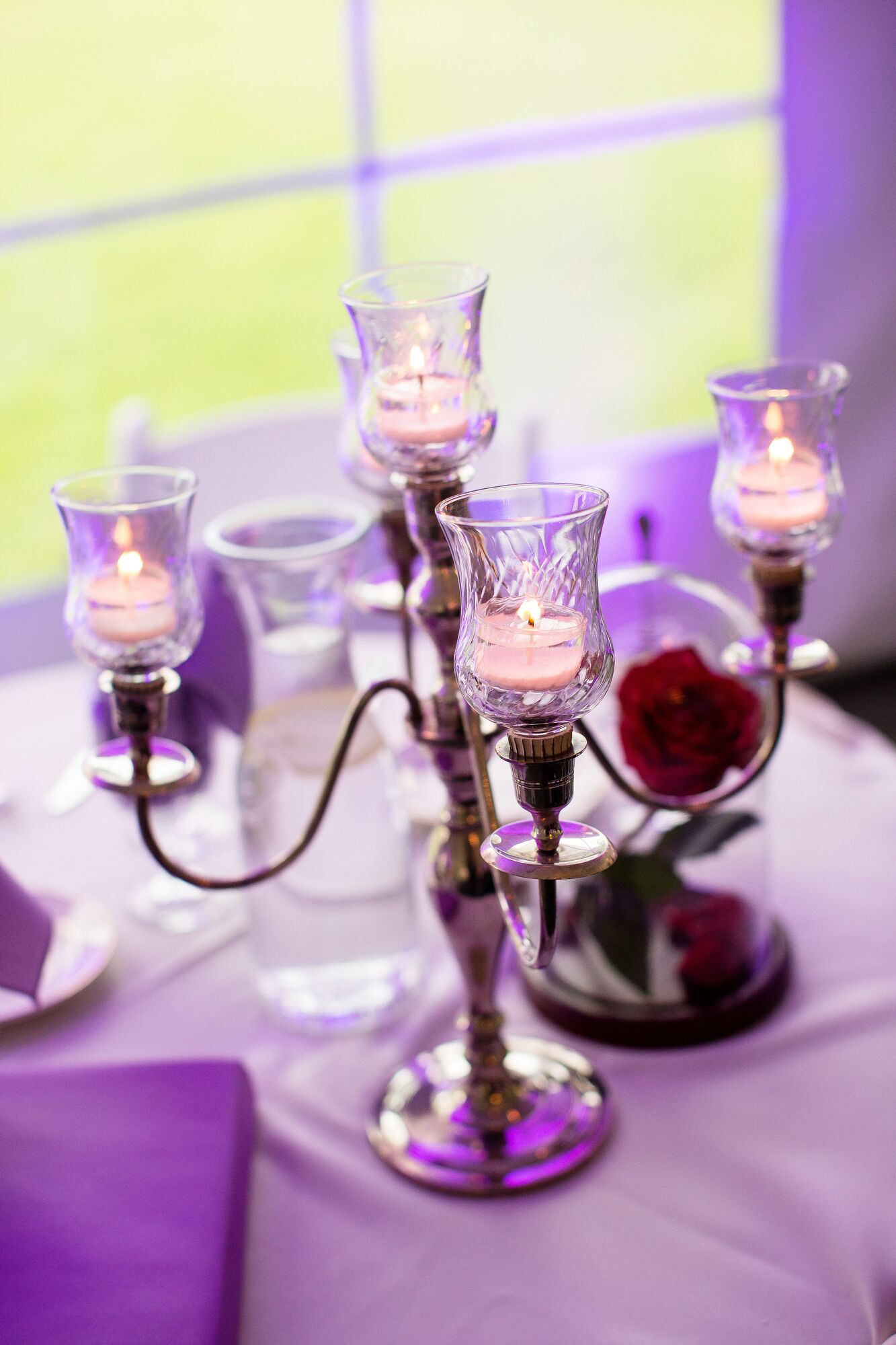 Beauty and the Beast Inspired Candelabras and Glass Domed 