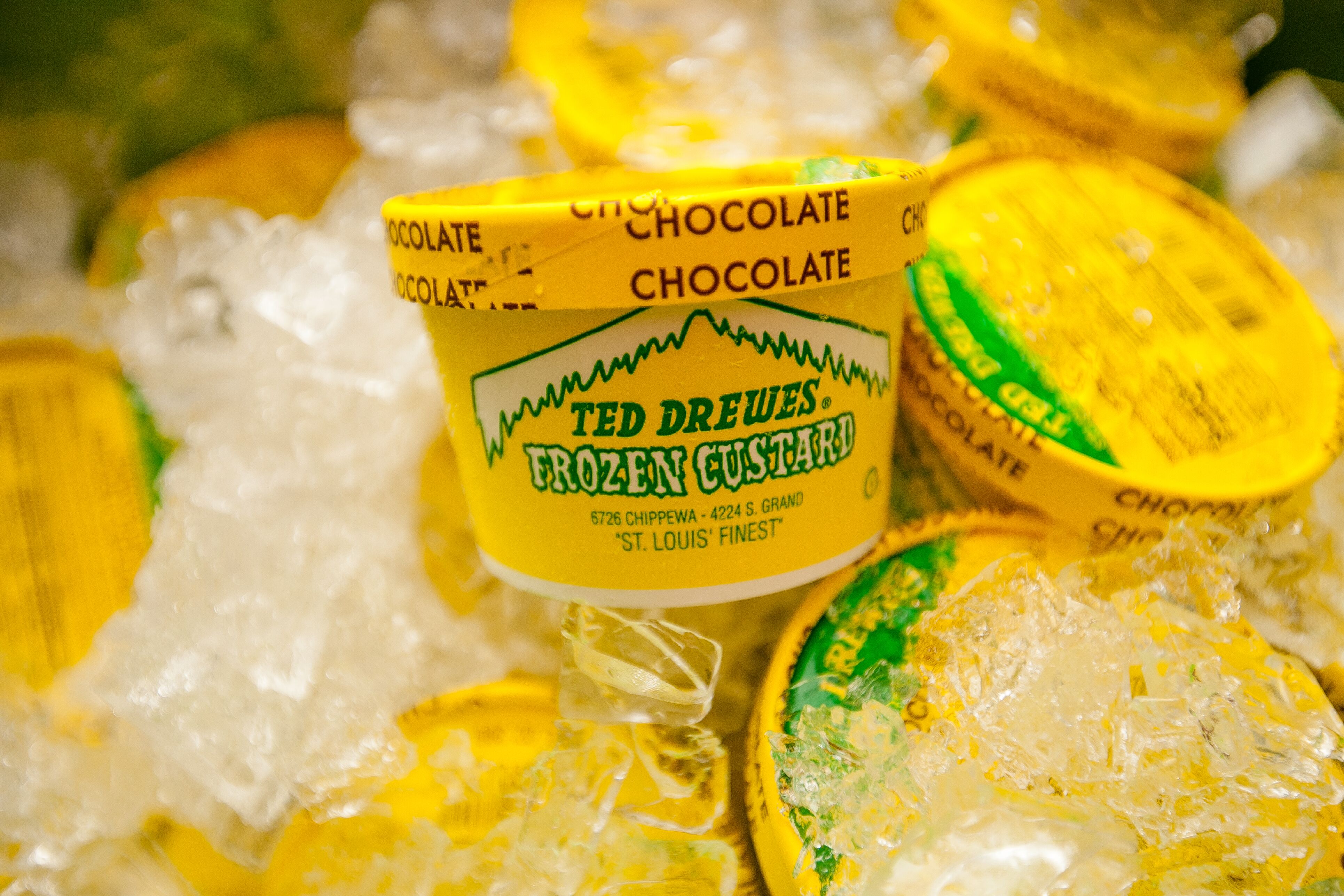 Ted Drewes Frozen Custard Desserts