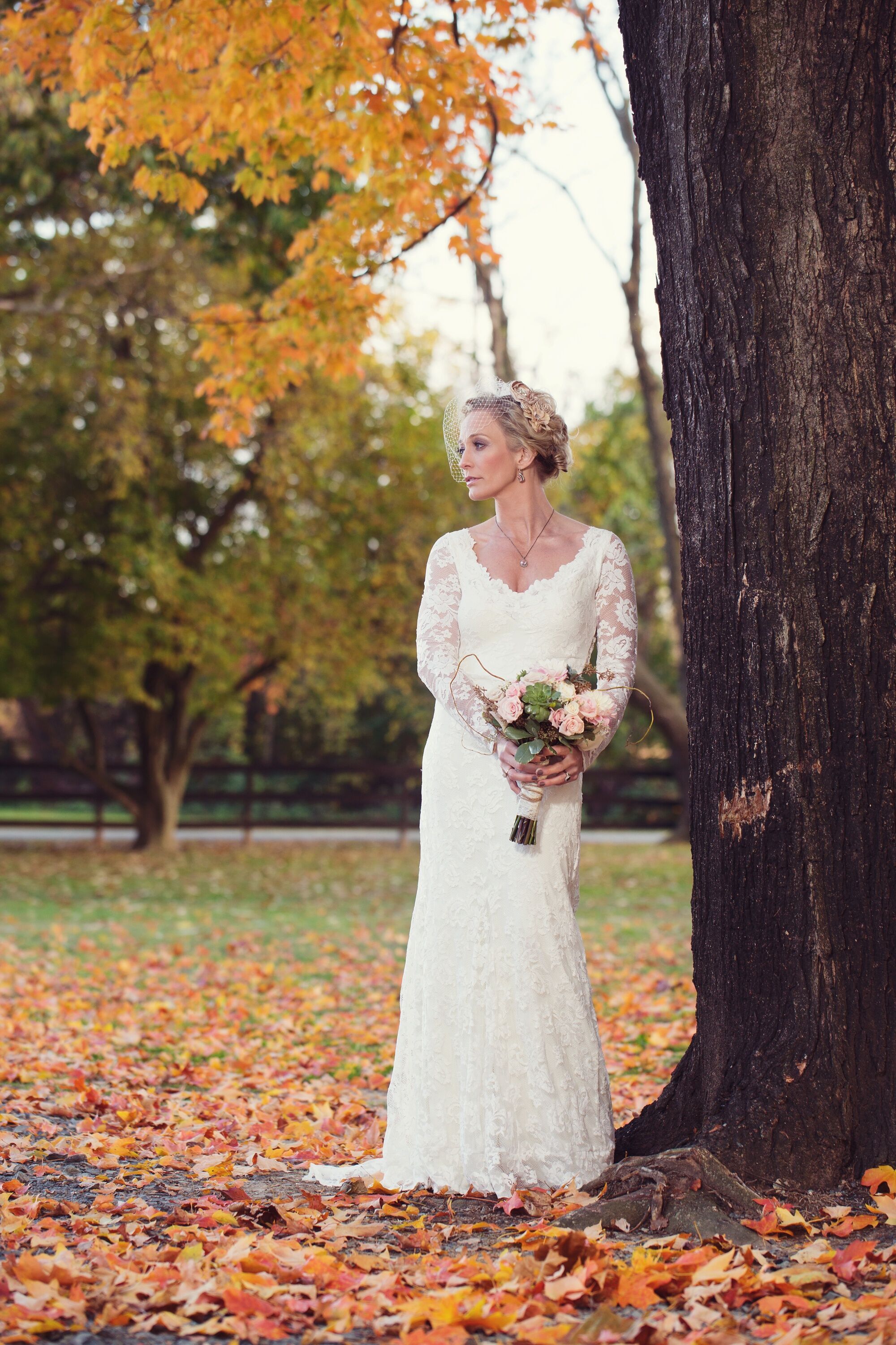 Long Sleeve Lace Wedding Dress and Birdcage Veil