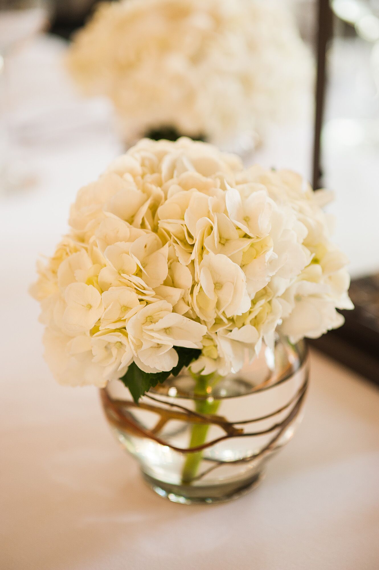 Low White Hydrangea Arrangement