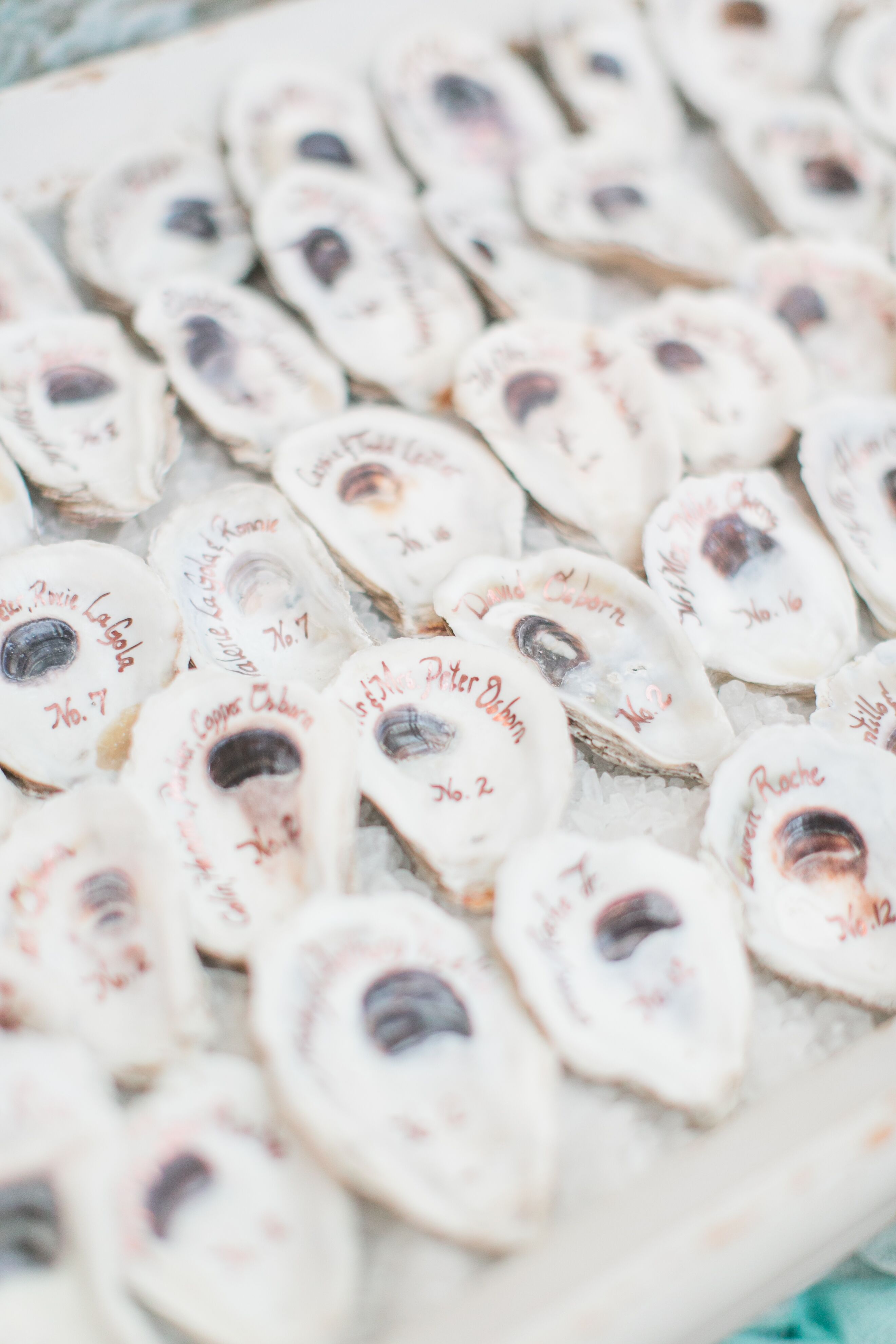 Nautical Oyster Shell Escort Cards