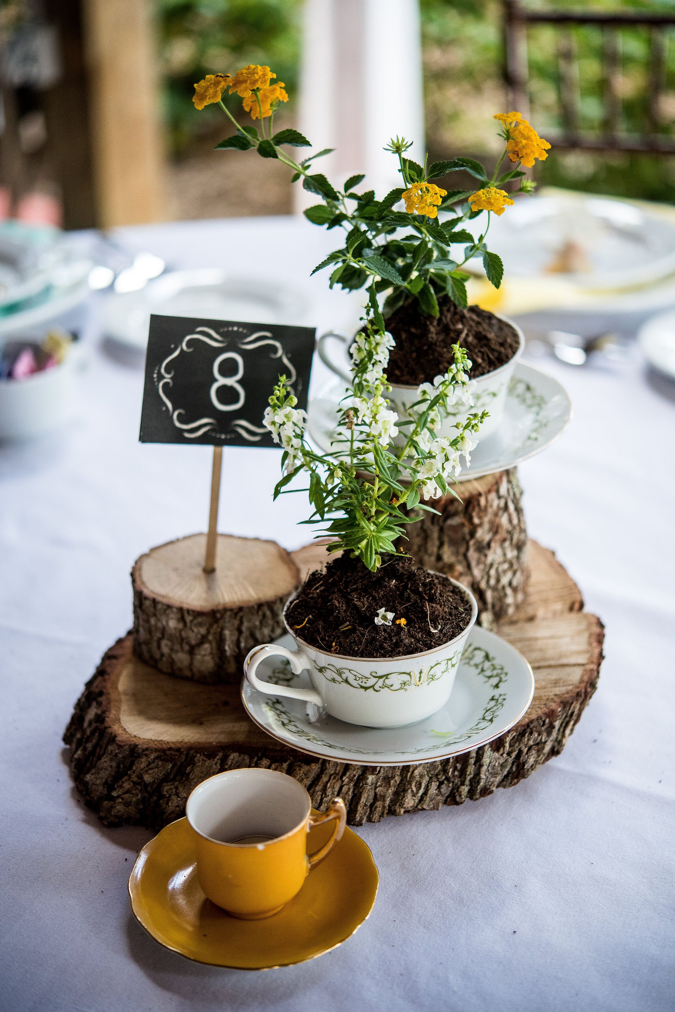 Rustic Wood and Teacup Centerpiece