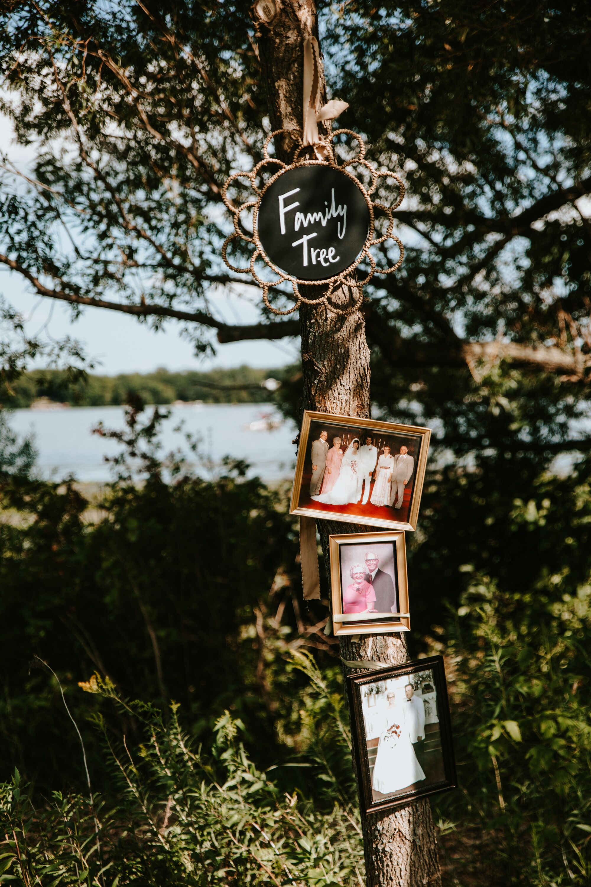 Family Tree Photo Display