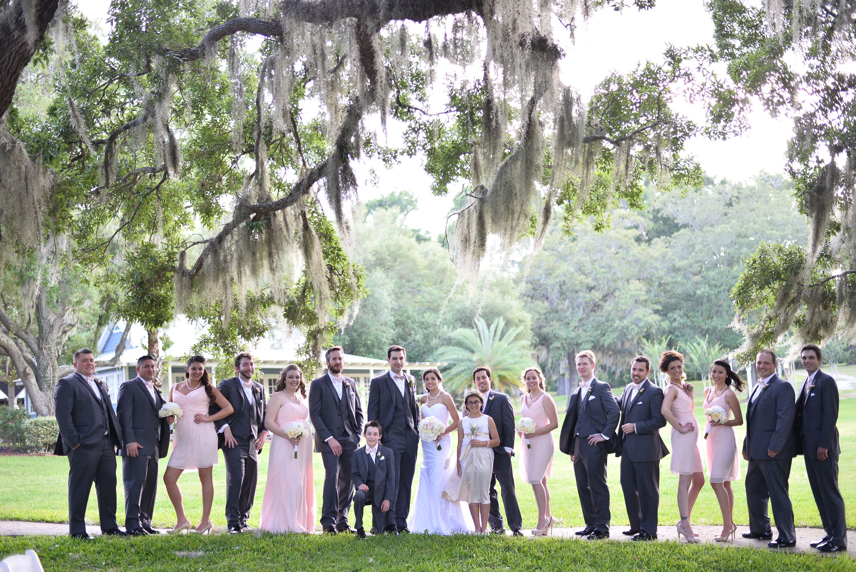 Blush Chiffon David’s Bridal Bridesmaid Dresses