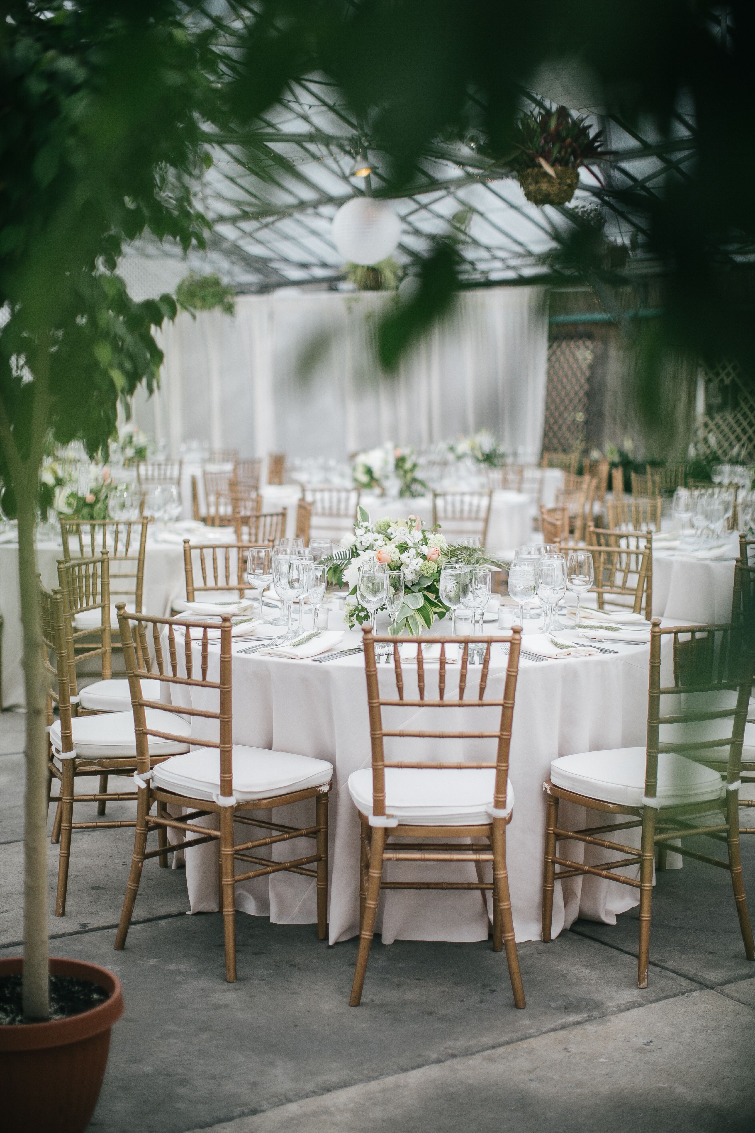Elegant and Green Reception