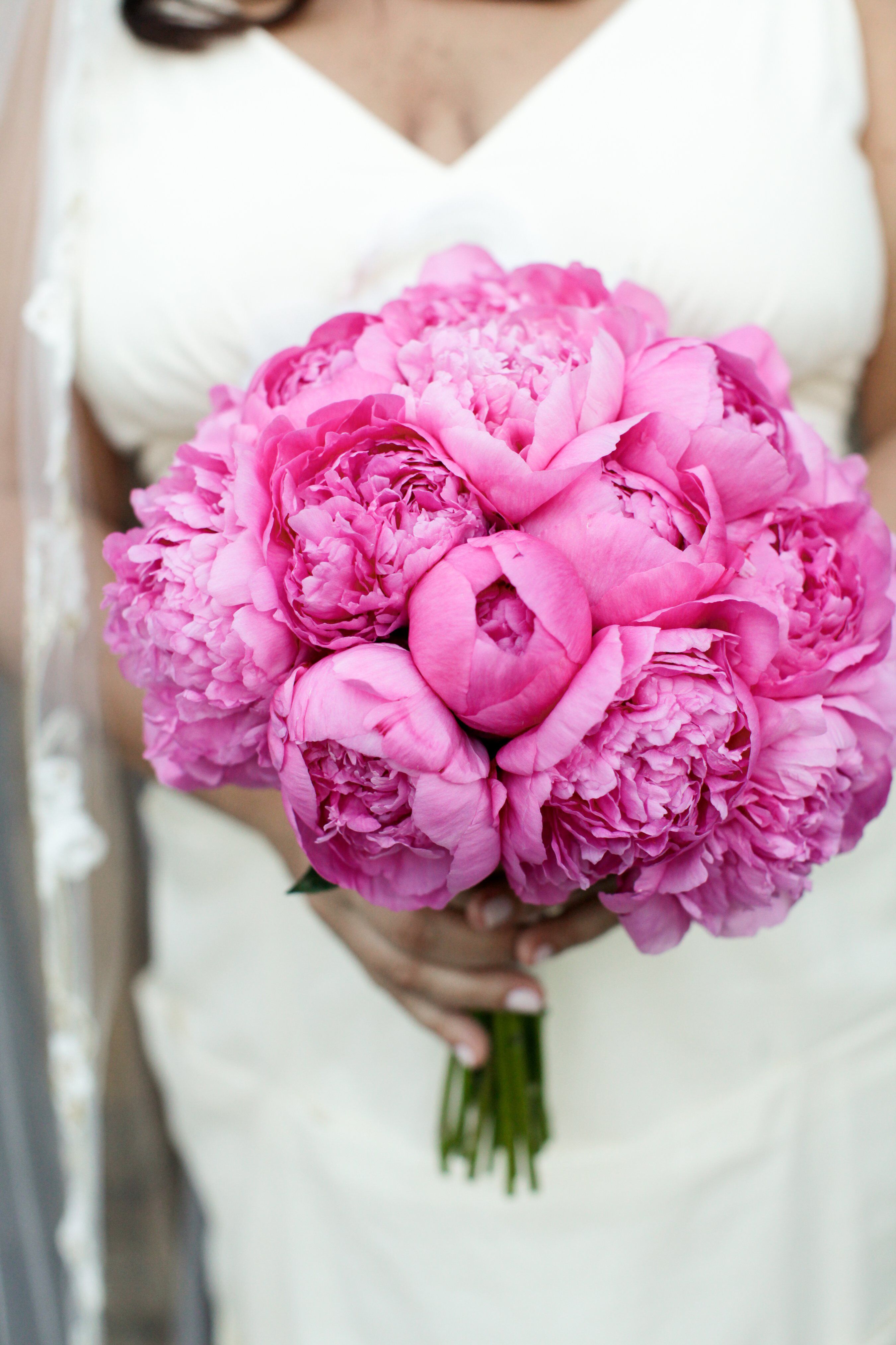 Bridal Bouquet РїРёРѕРЅ