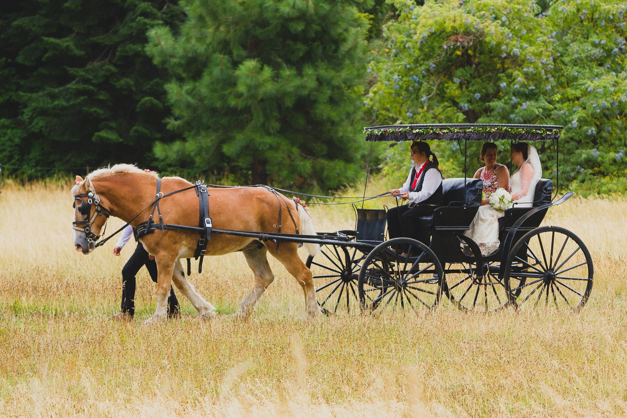 Horse and Carriage Ceremony Entrance