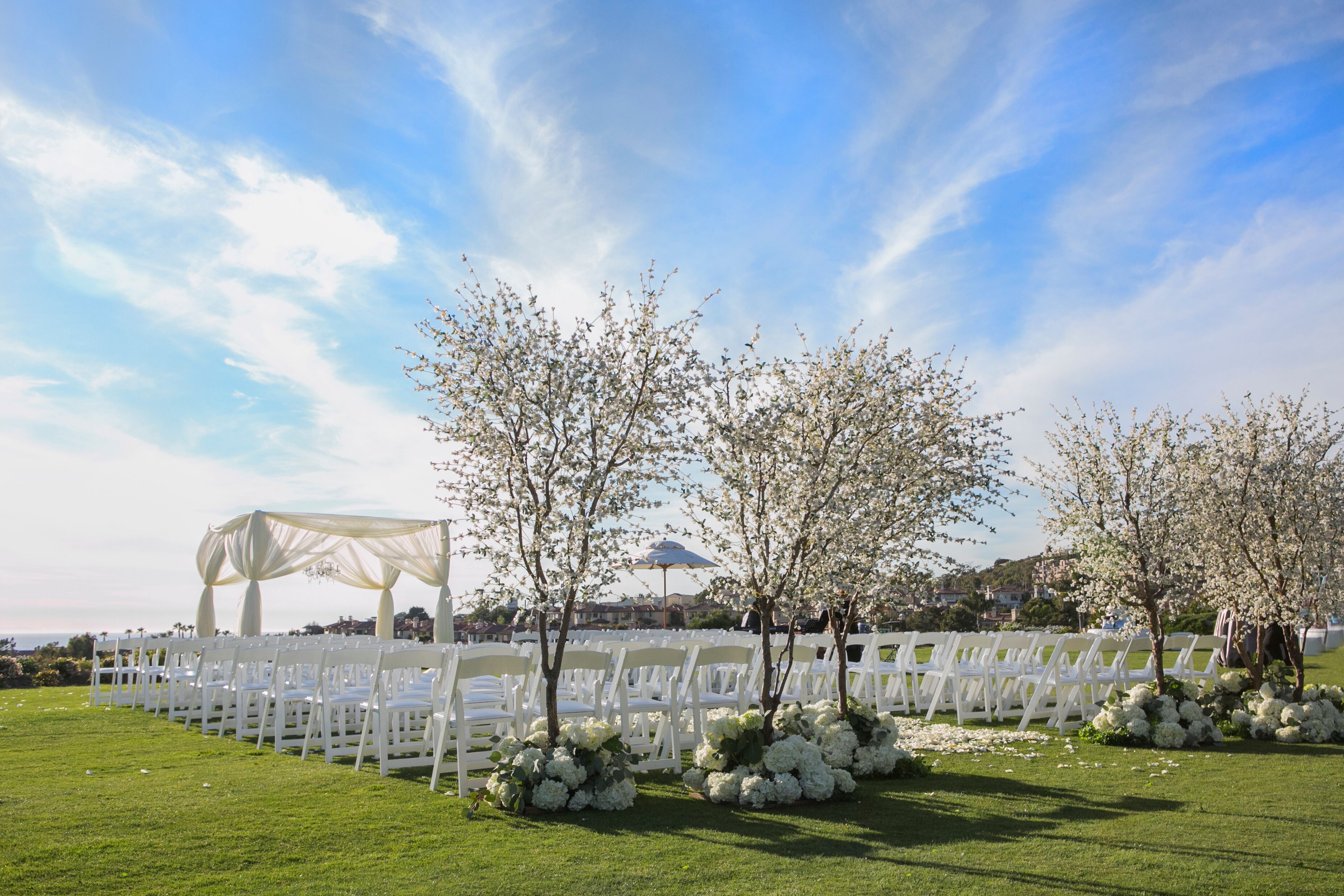 Cherry Blossom Ceremony Entrance