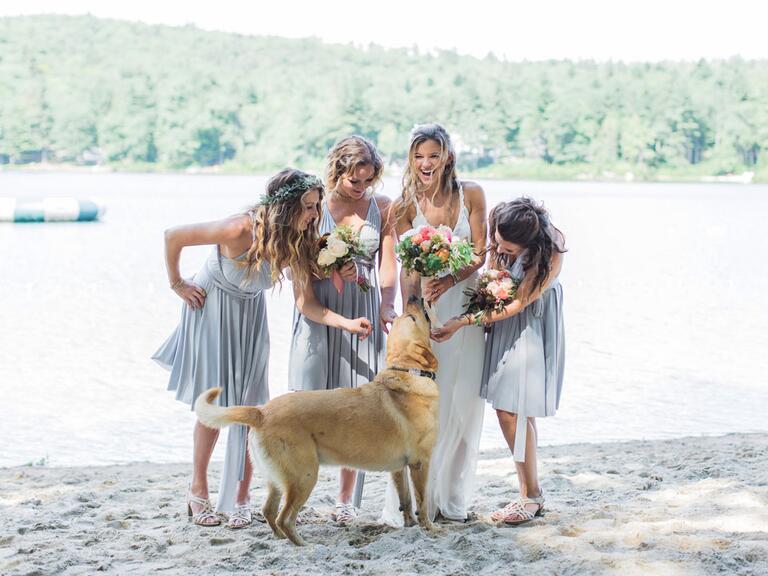 Bridal party playing with a dog on the beach