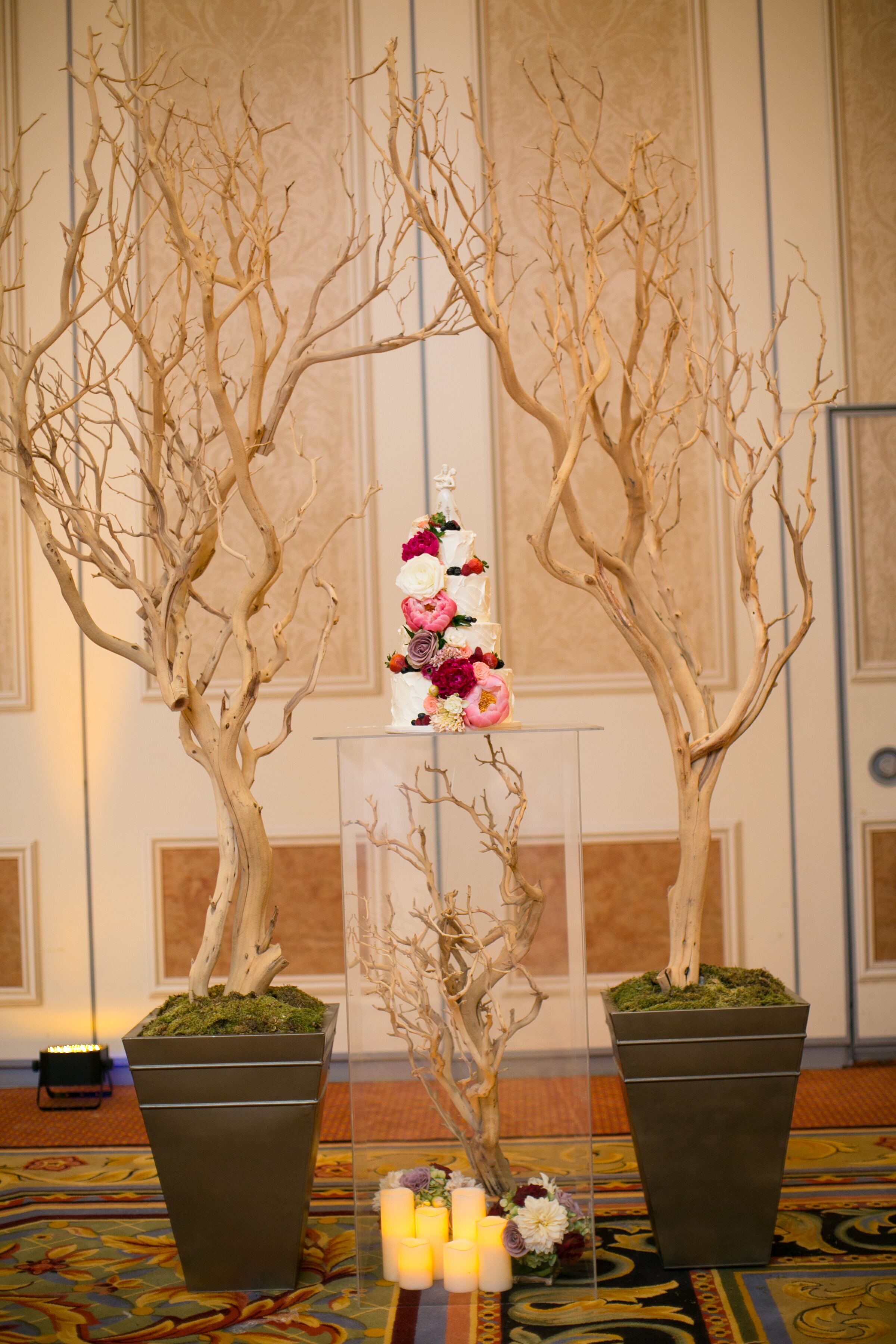 Enchanted Garden Manzanita Branch Wedding Cake Display