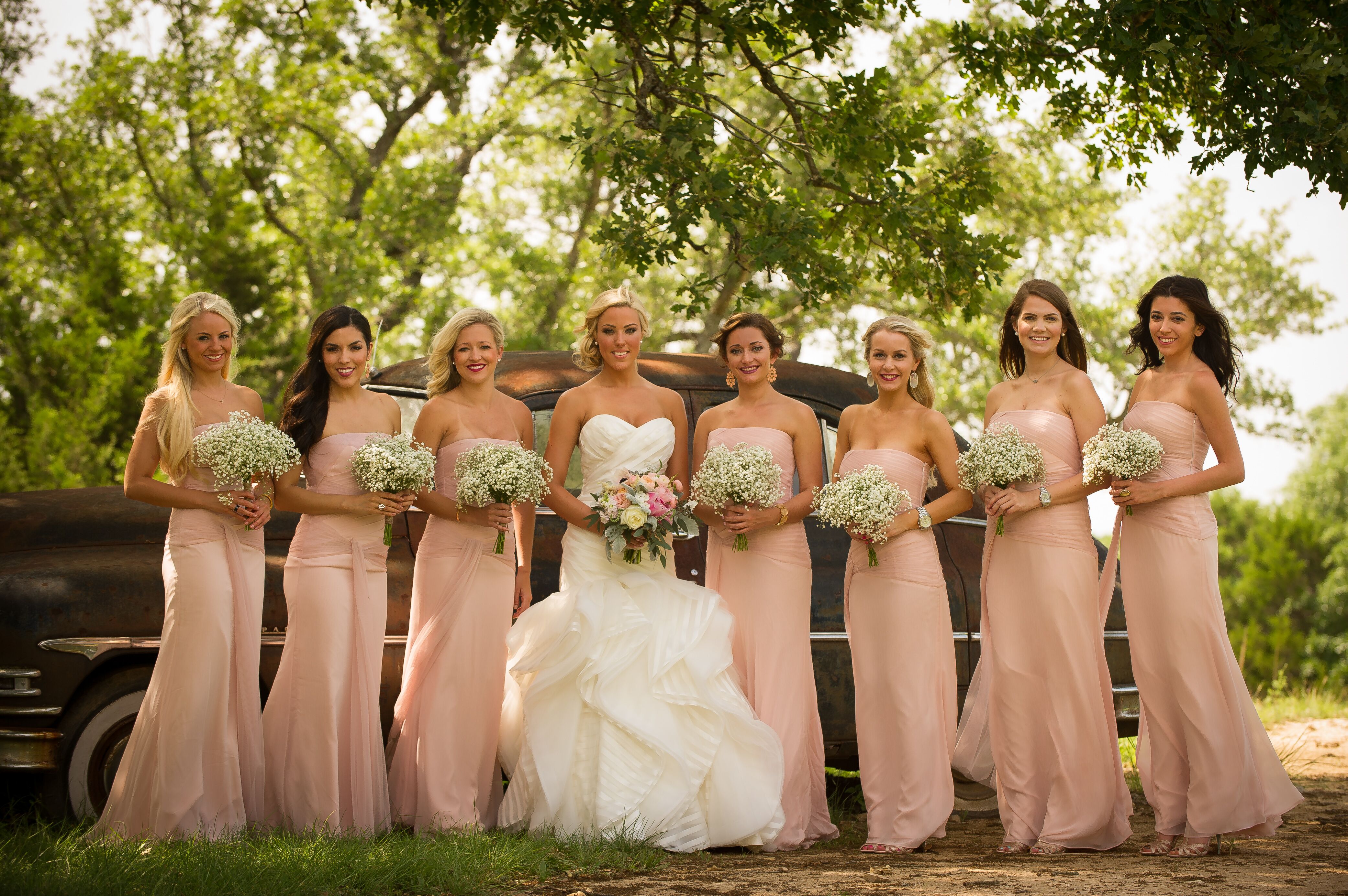 Blush Chiffon Vera Wang Bridesmaids Dresses