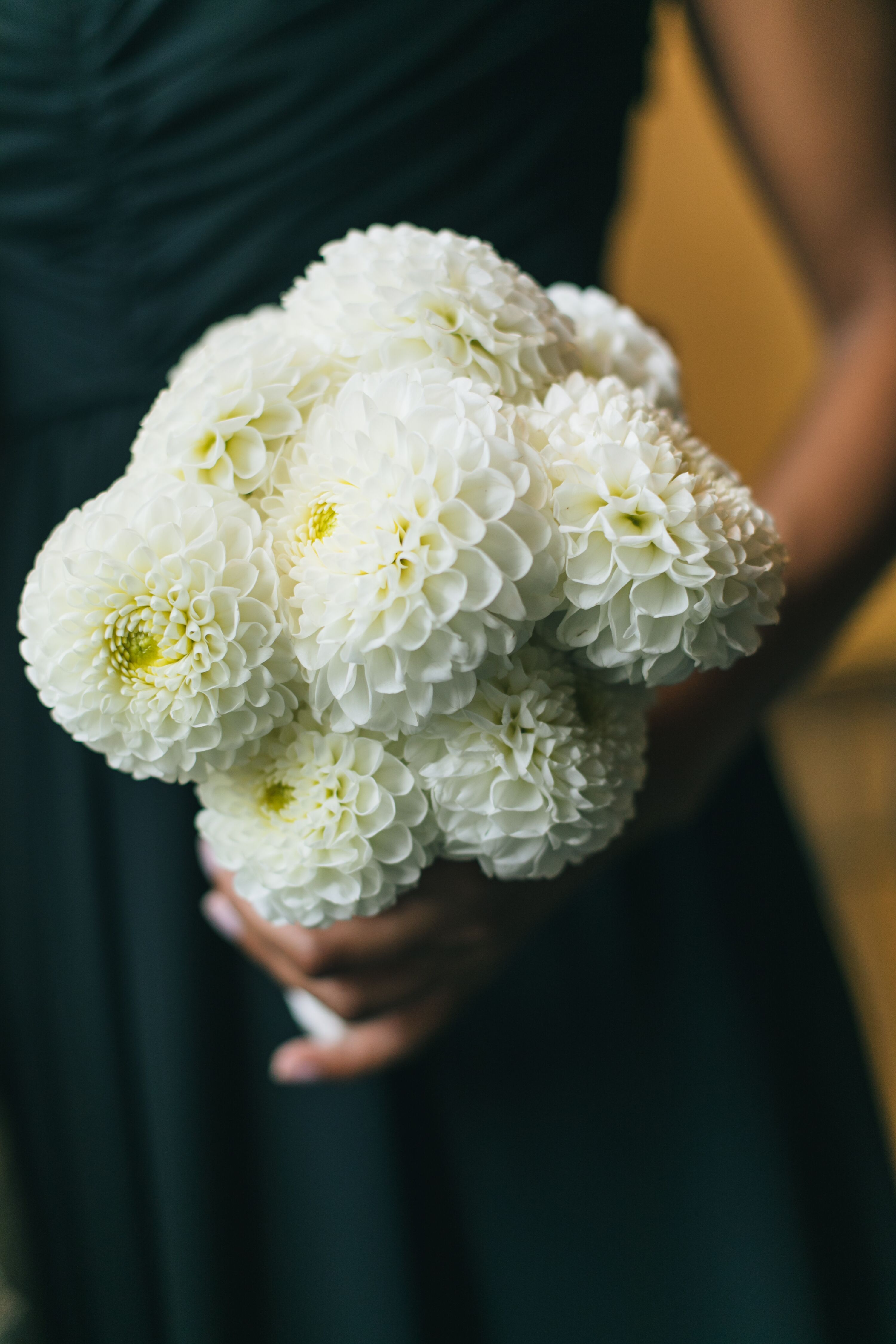 Simple White Dahlia Bouquet