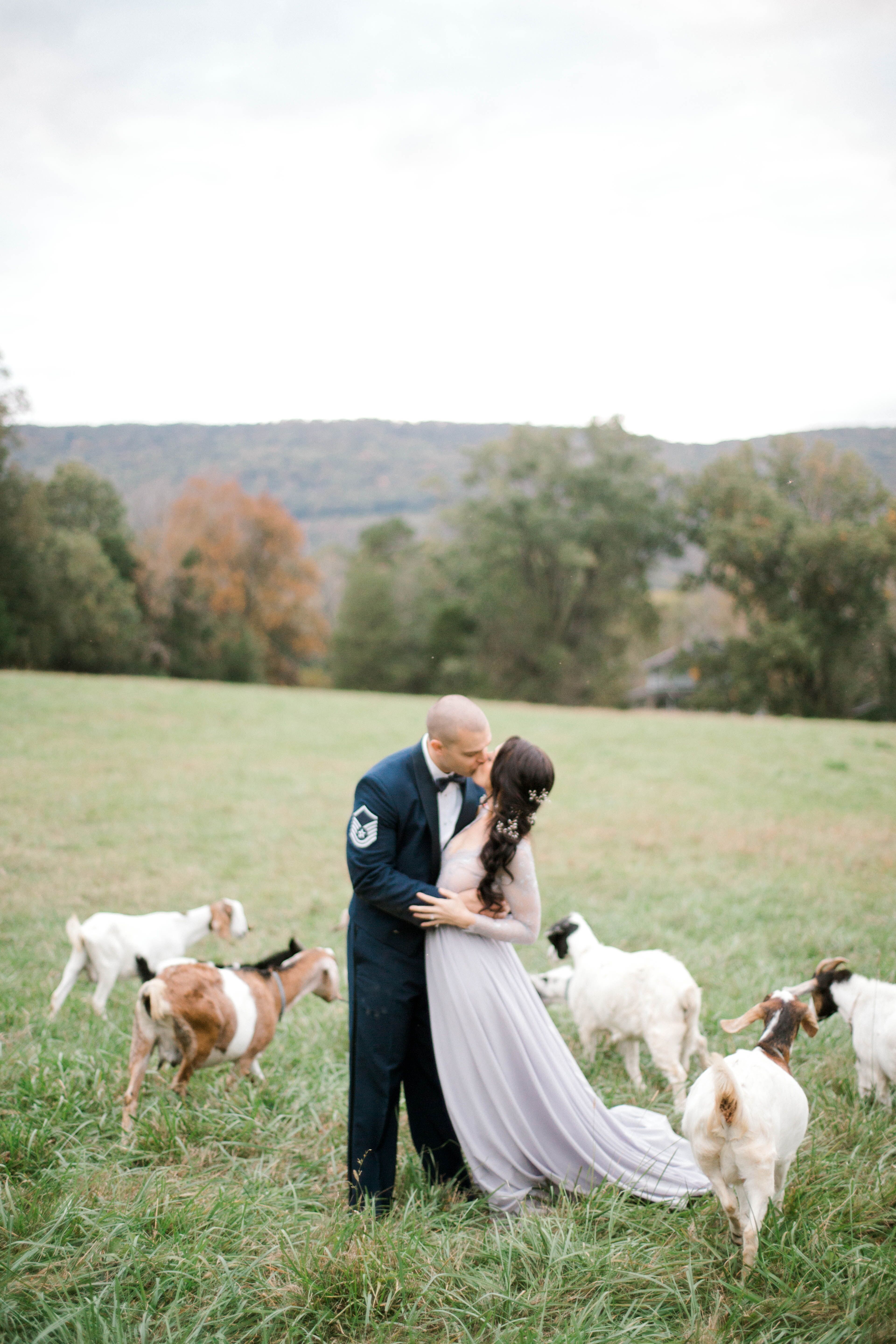 Couple Kissing in Rustic Field of Farm Animals