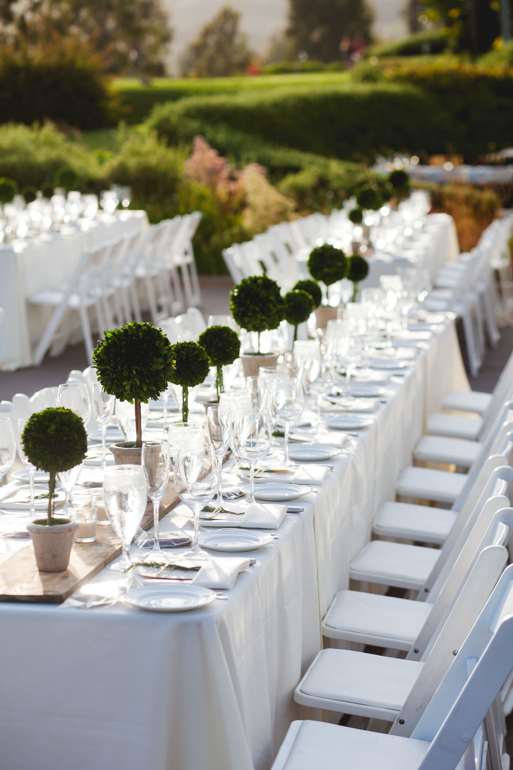 Green and Wood Table Decor