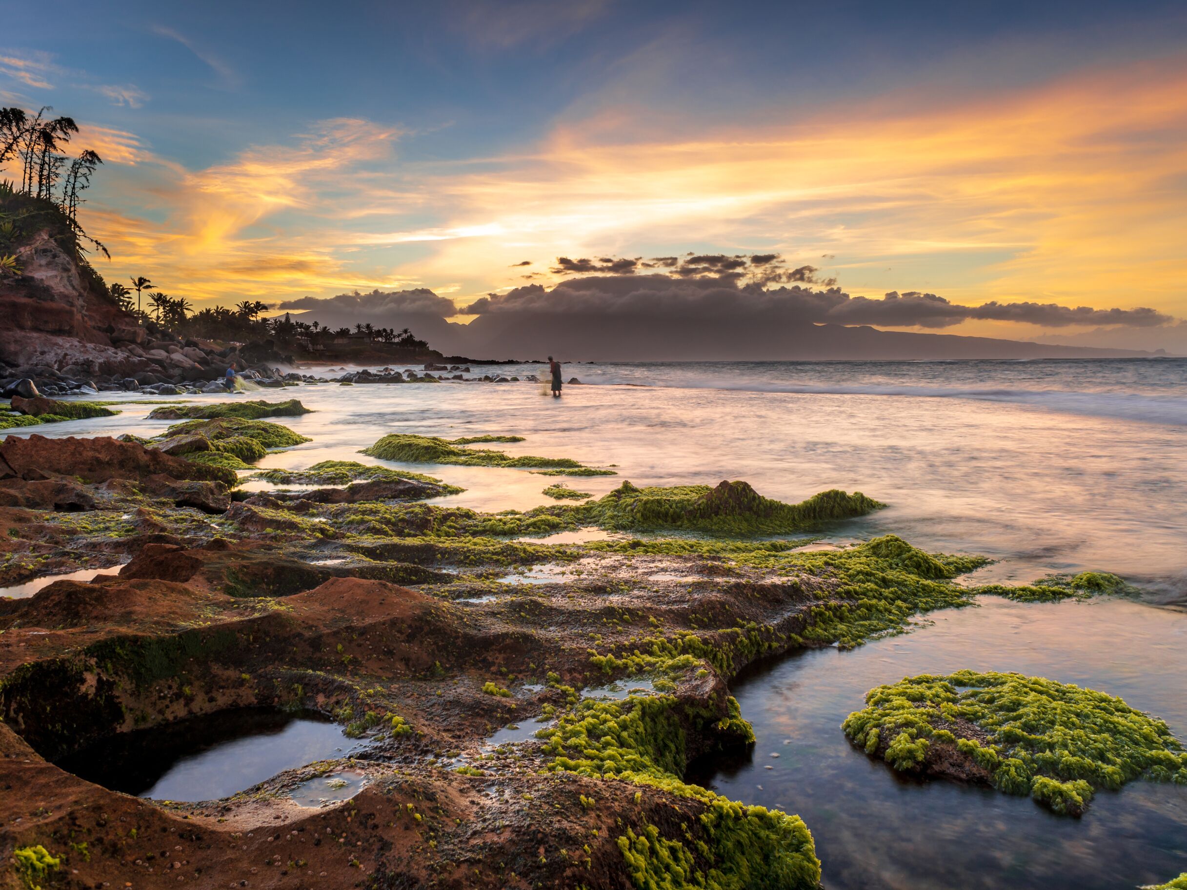 Weather In Maui In March