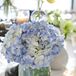 Hydrangea and Mason Jar Centerpieces