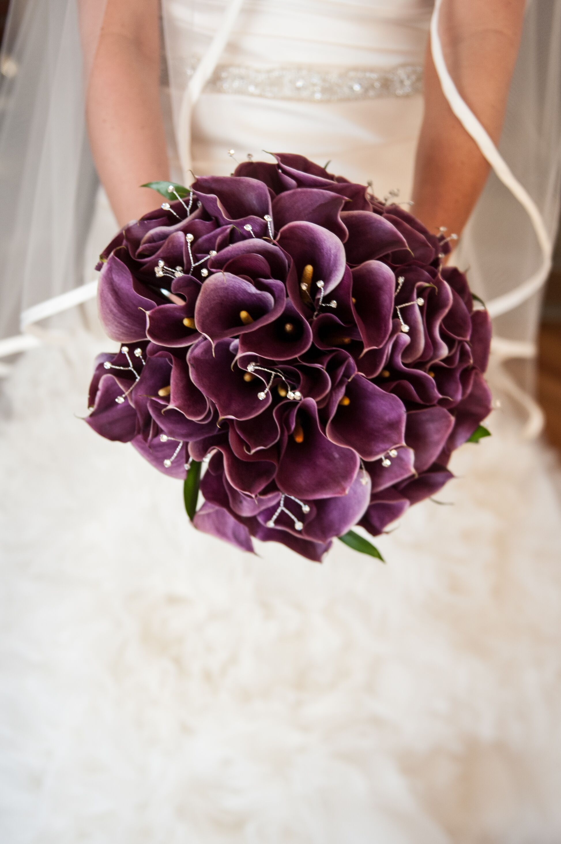 Dark Purple Calla Lily Bridal Bouquet