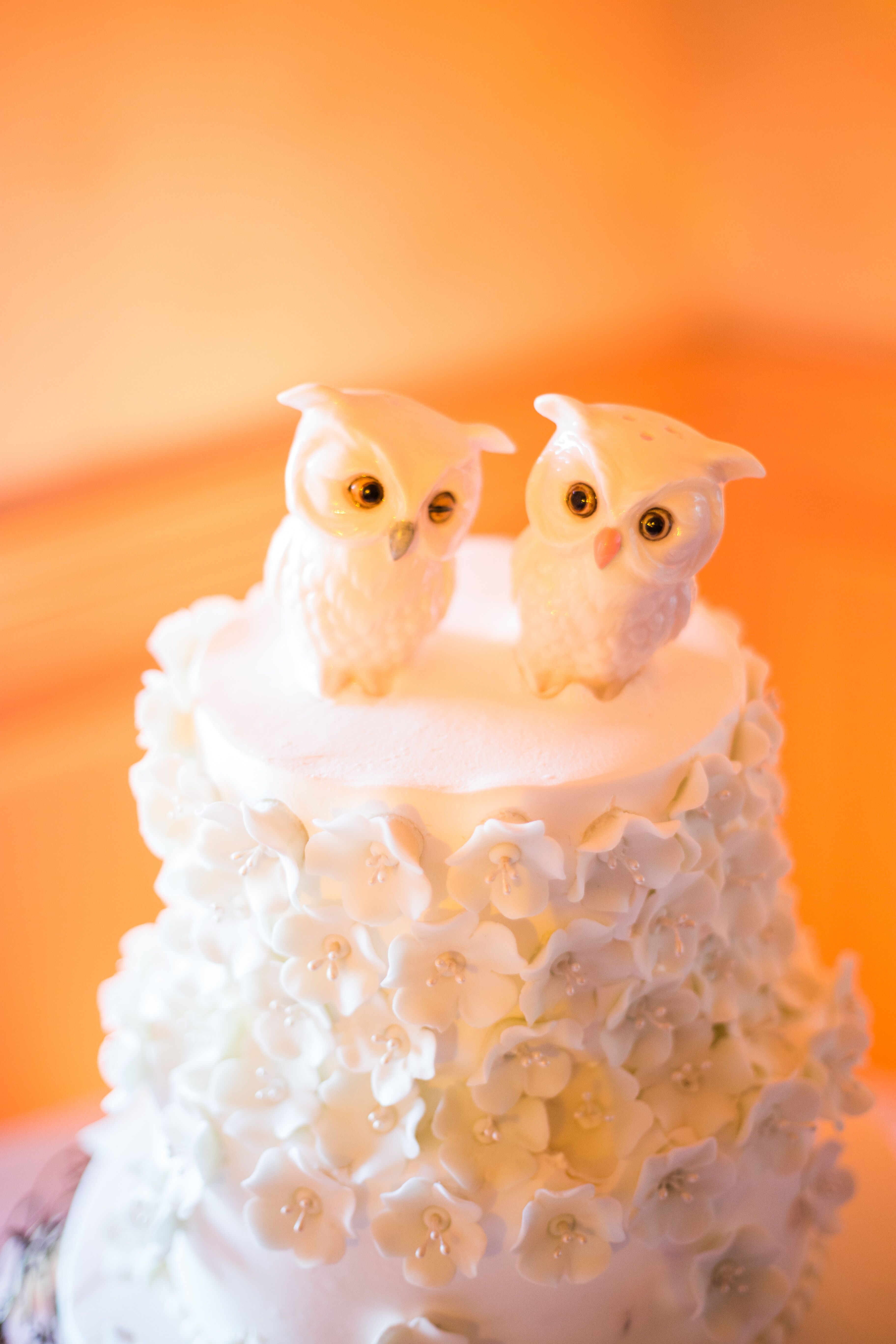 cool owl cakes