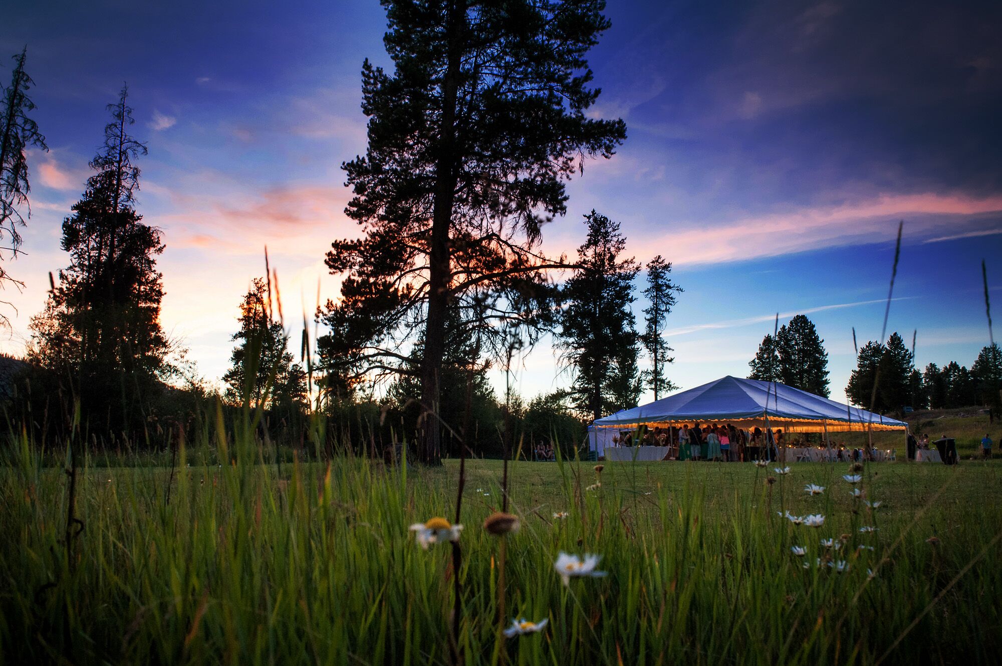 A Tented Reception at Grey Wolf Ranch