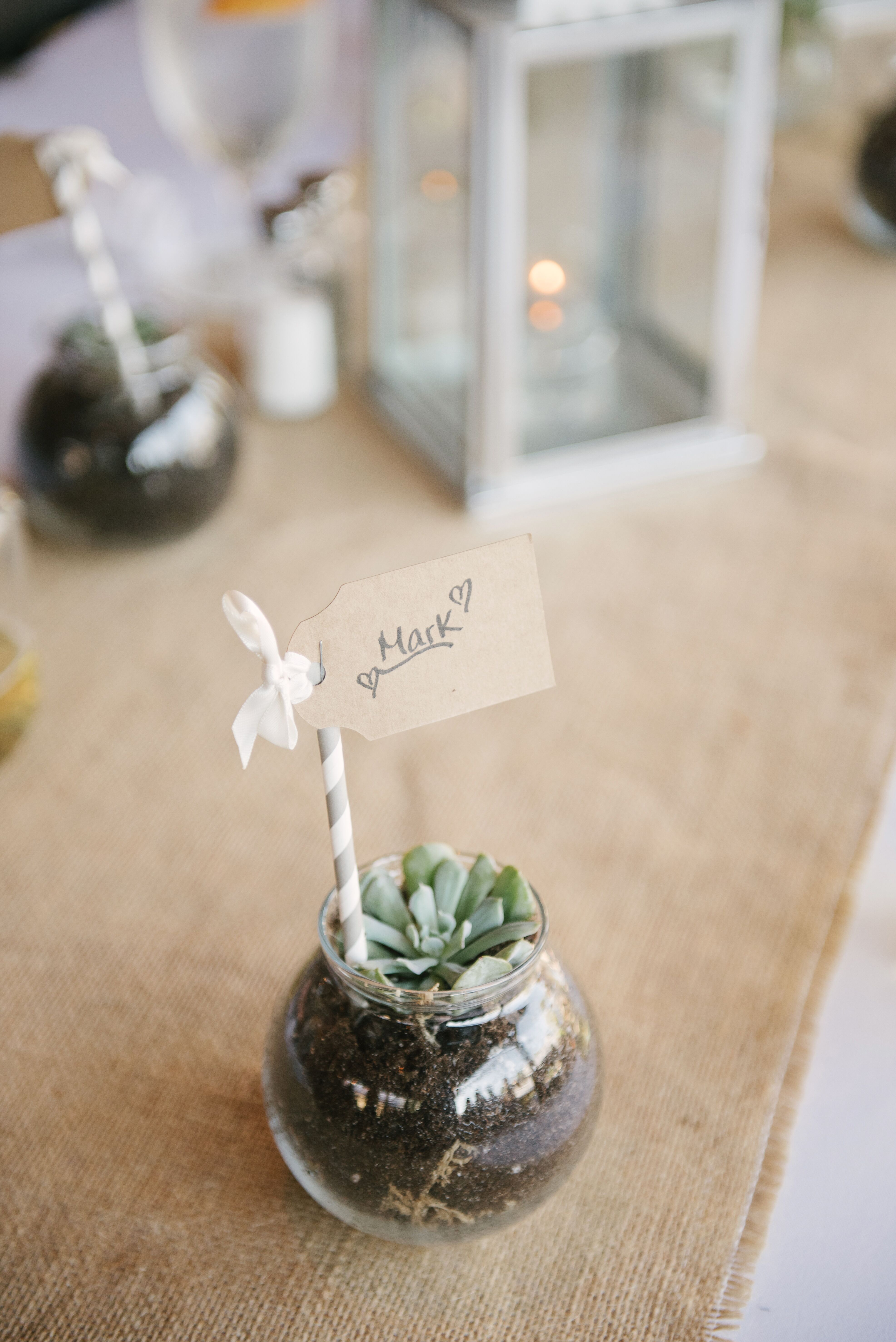 Succulent Wedding Favors