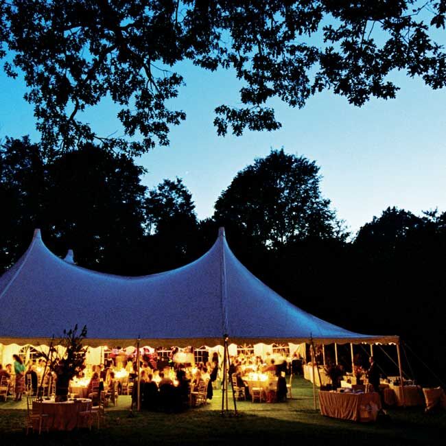 The Reception