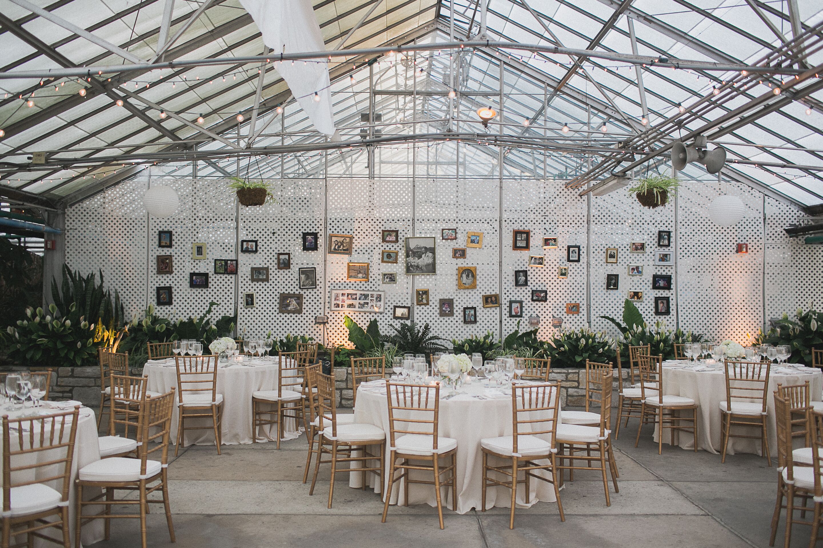 Reception with a Wall of Family Pictures