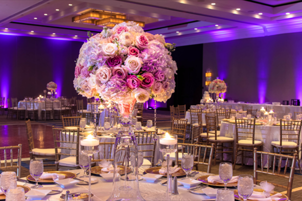  Wedding  Reception  Venues  in Potomac  MD  The Knot