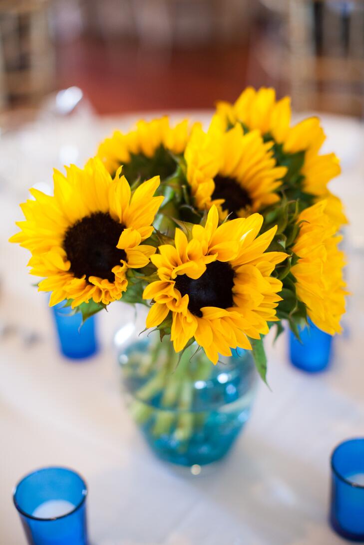 Centres de tournesol jaune vif dans des vases bleu aqua