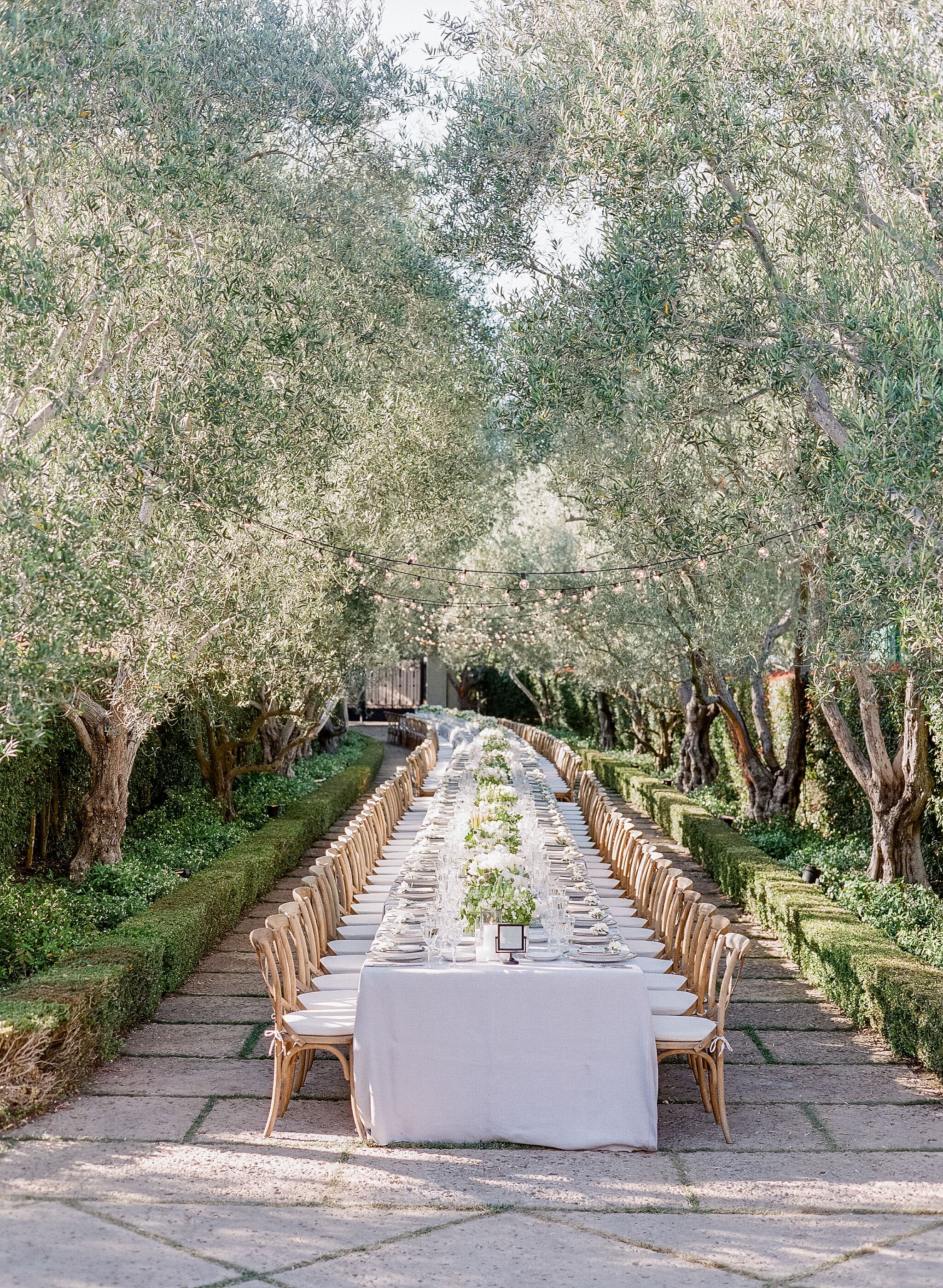 Reception Feasting Table for 150 Guests