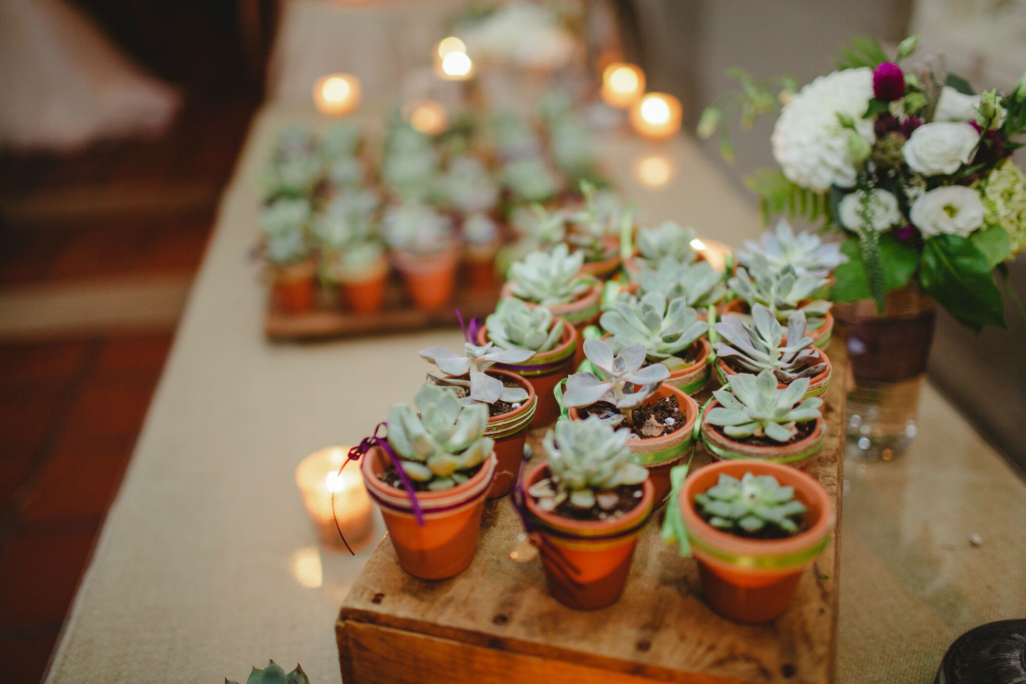 Potted Succulent Wedding Favors