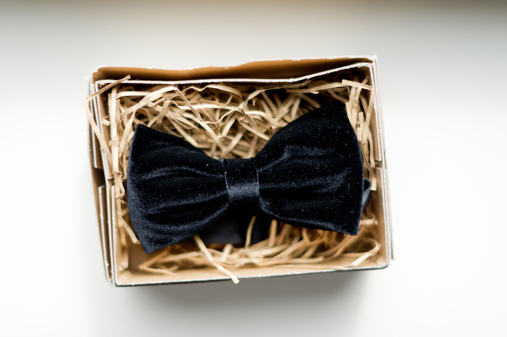 Black Velvet Bow Tie