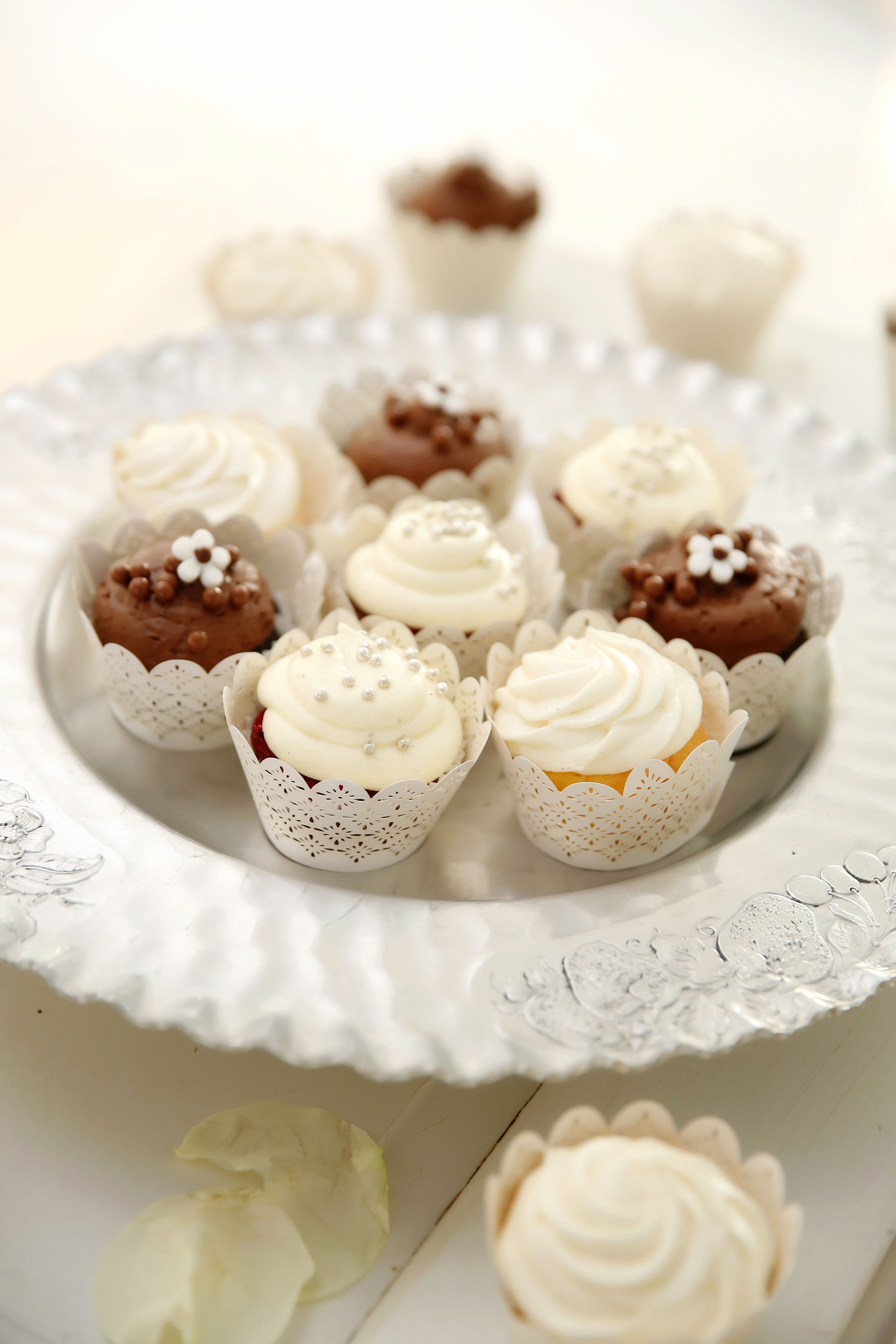 Chocolate And Vanilla Mini Cupcakes