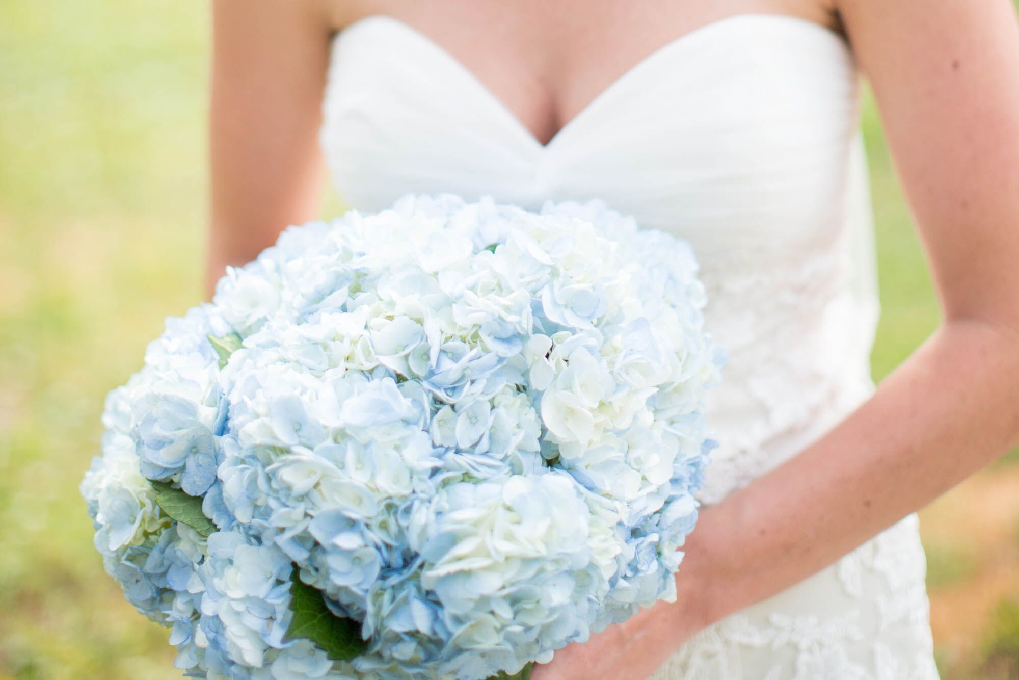 Image of Pale Blue Hydrangea Bouquet