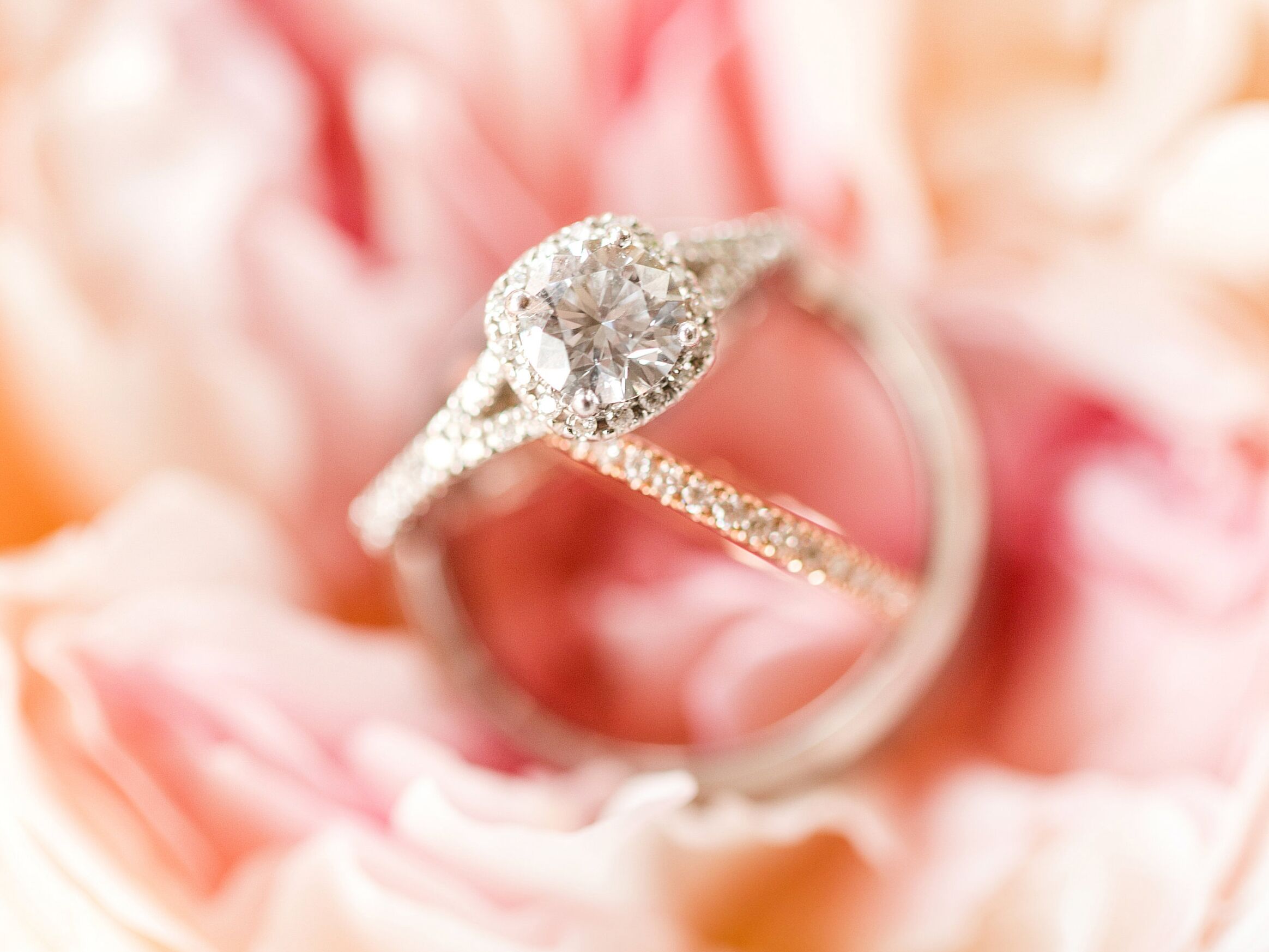 Rules of Engagement Rings