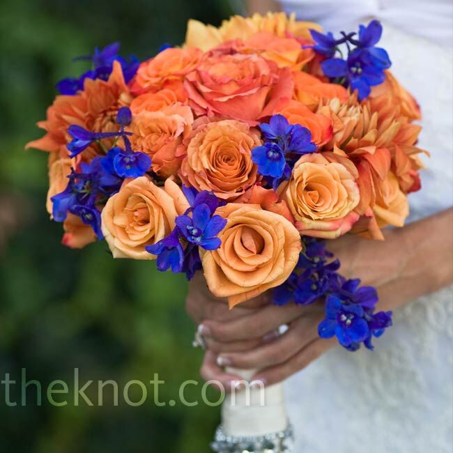 orange and blue roses