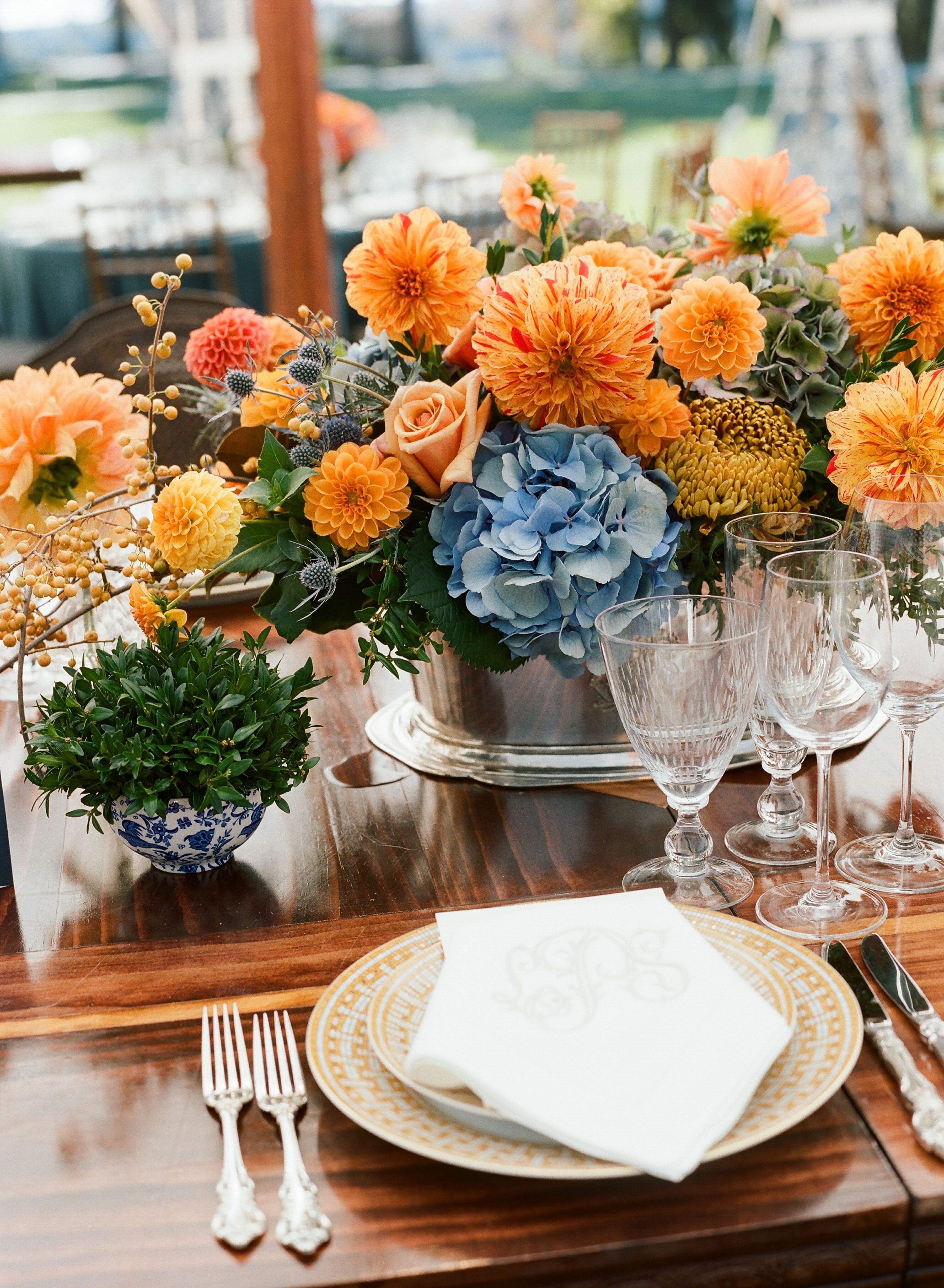 blue and orange flowers