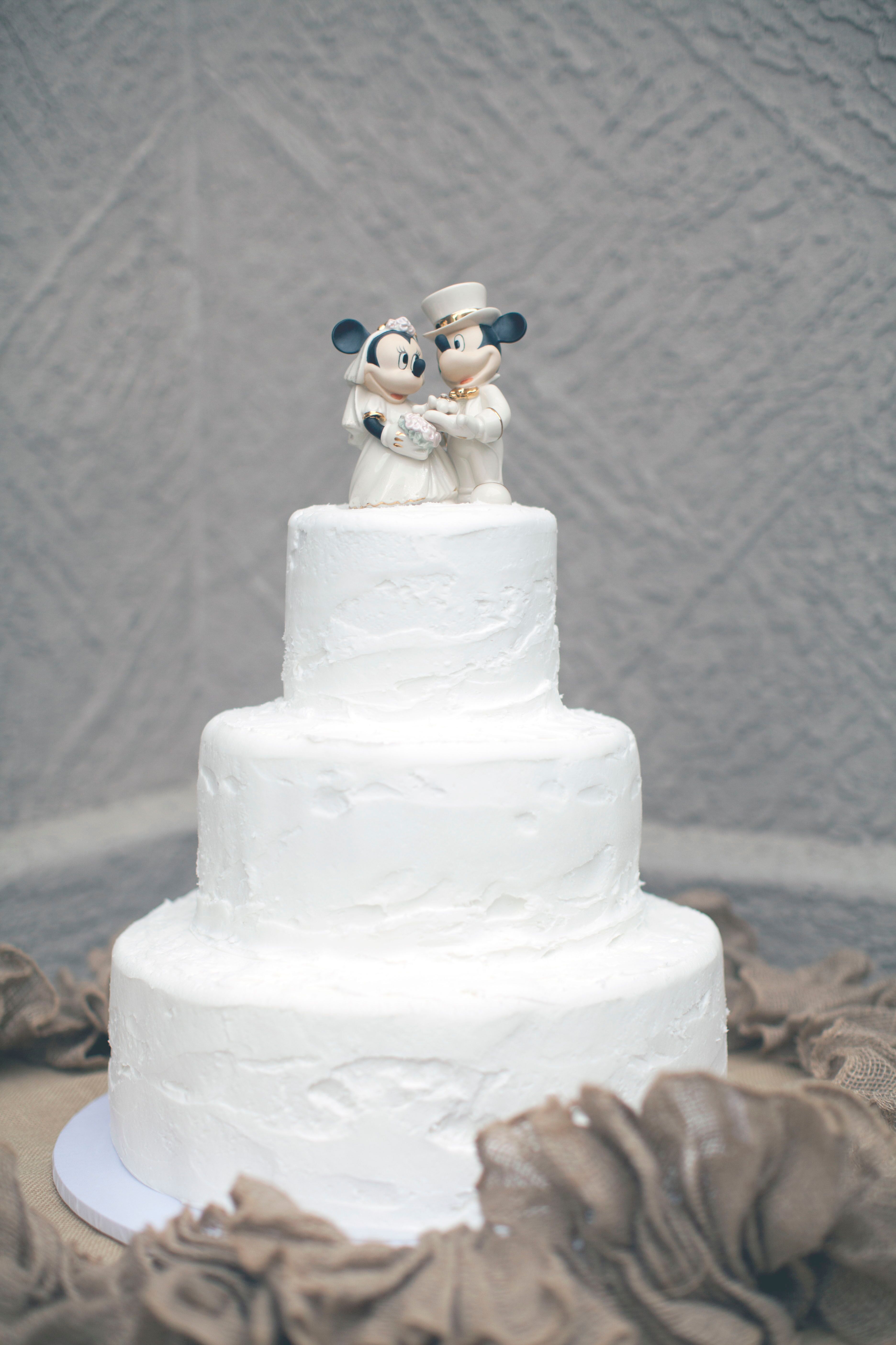 Mickey & Minnie rustic wedding cake topper wedding cake topper Disney wedding 