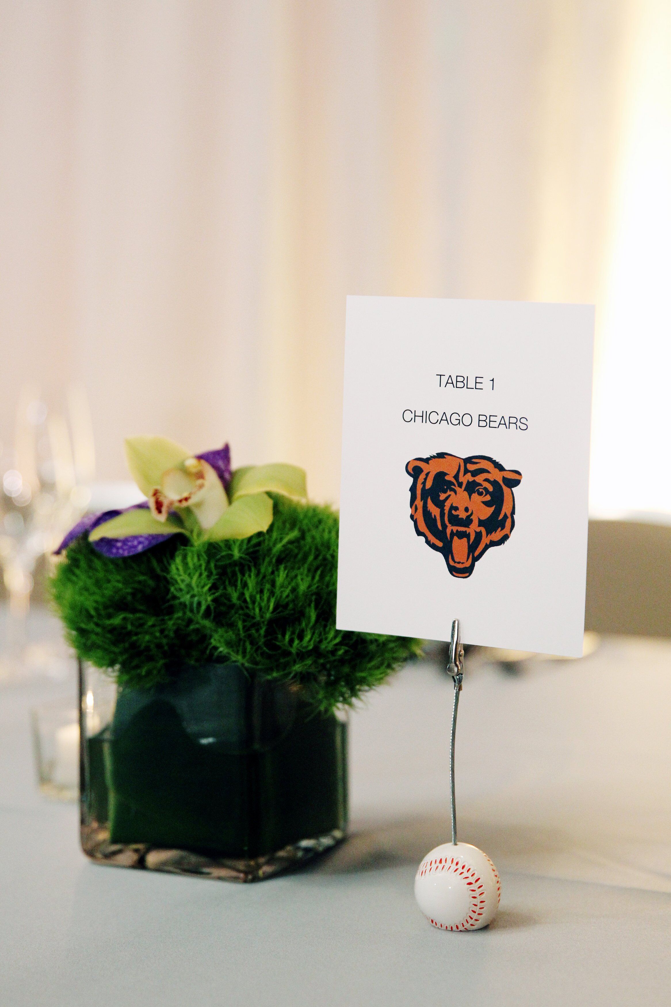 Sports Team Table Names
