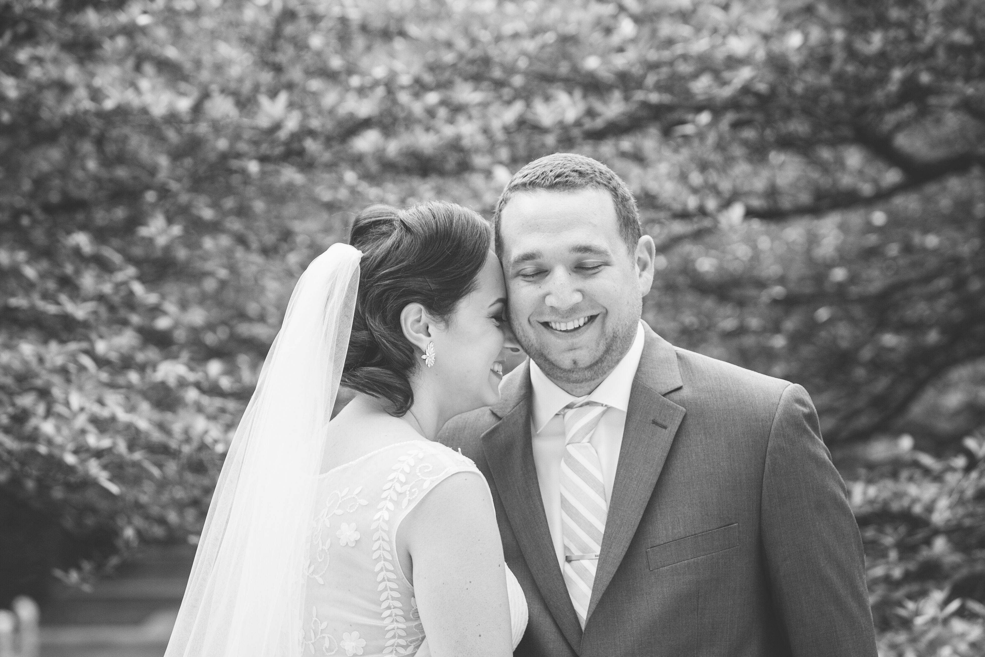 Pronovias Wedding Dress With Sheer Back Detail