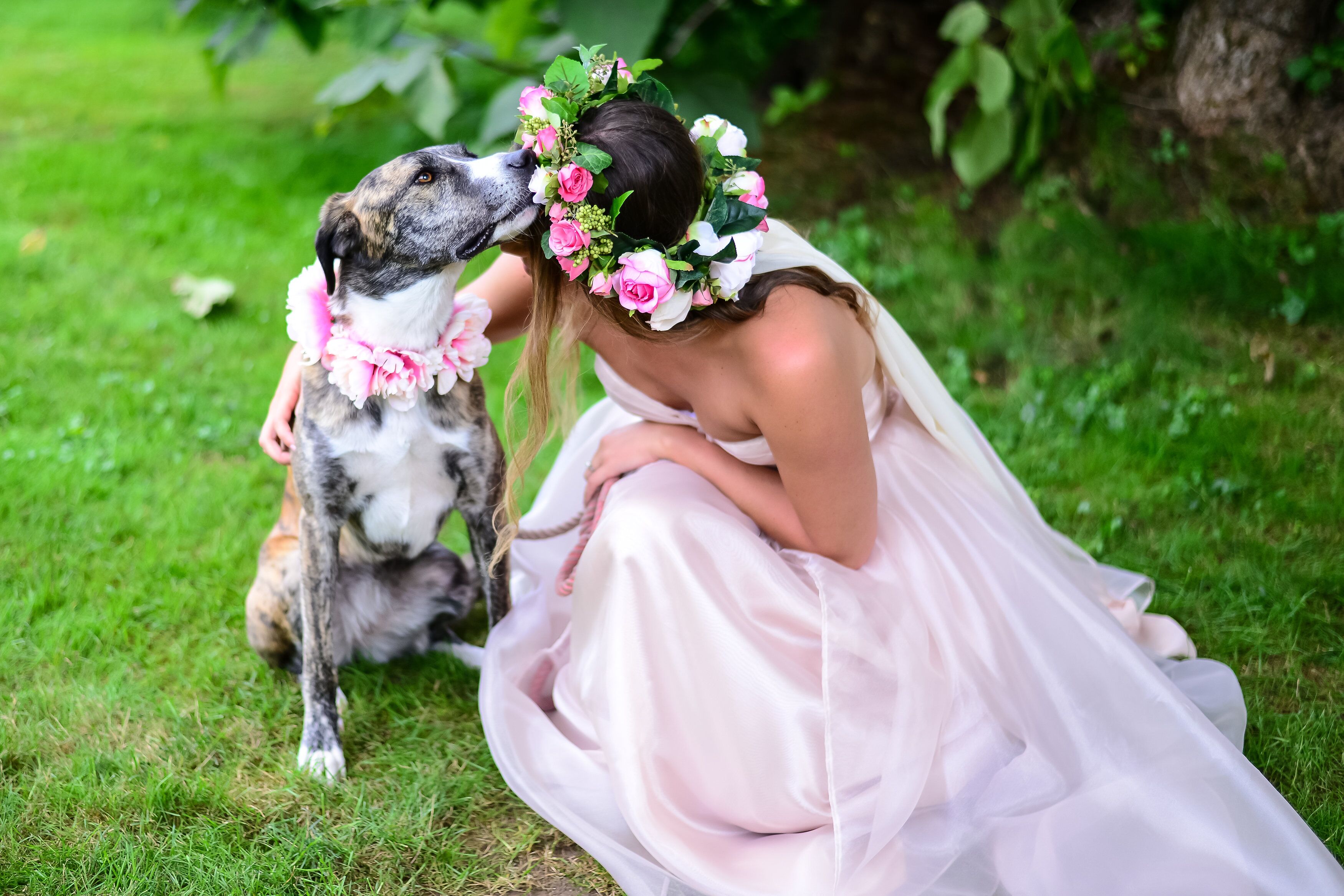 dog flower girl dress