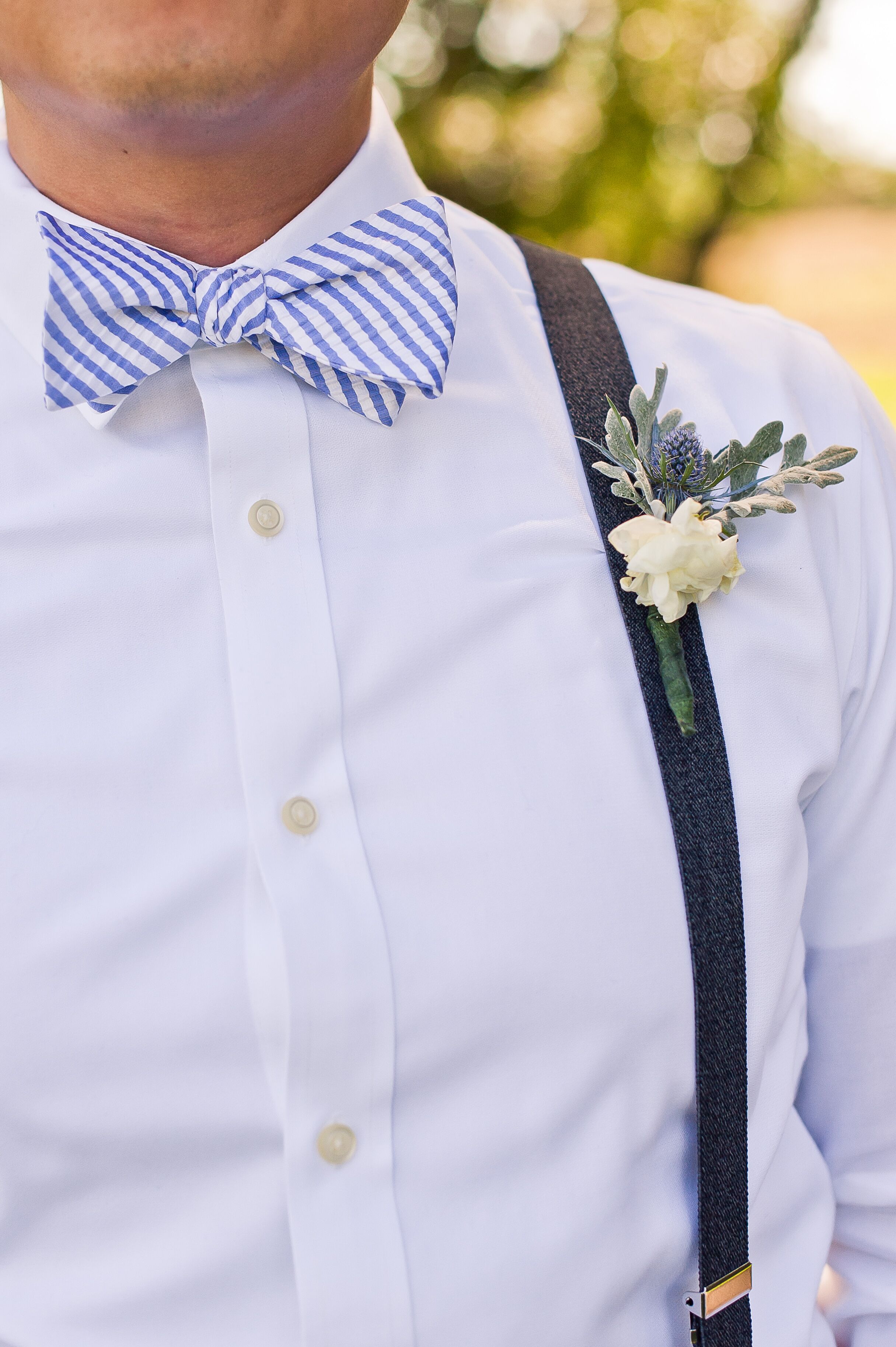 Blue-Striped Bow Tie