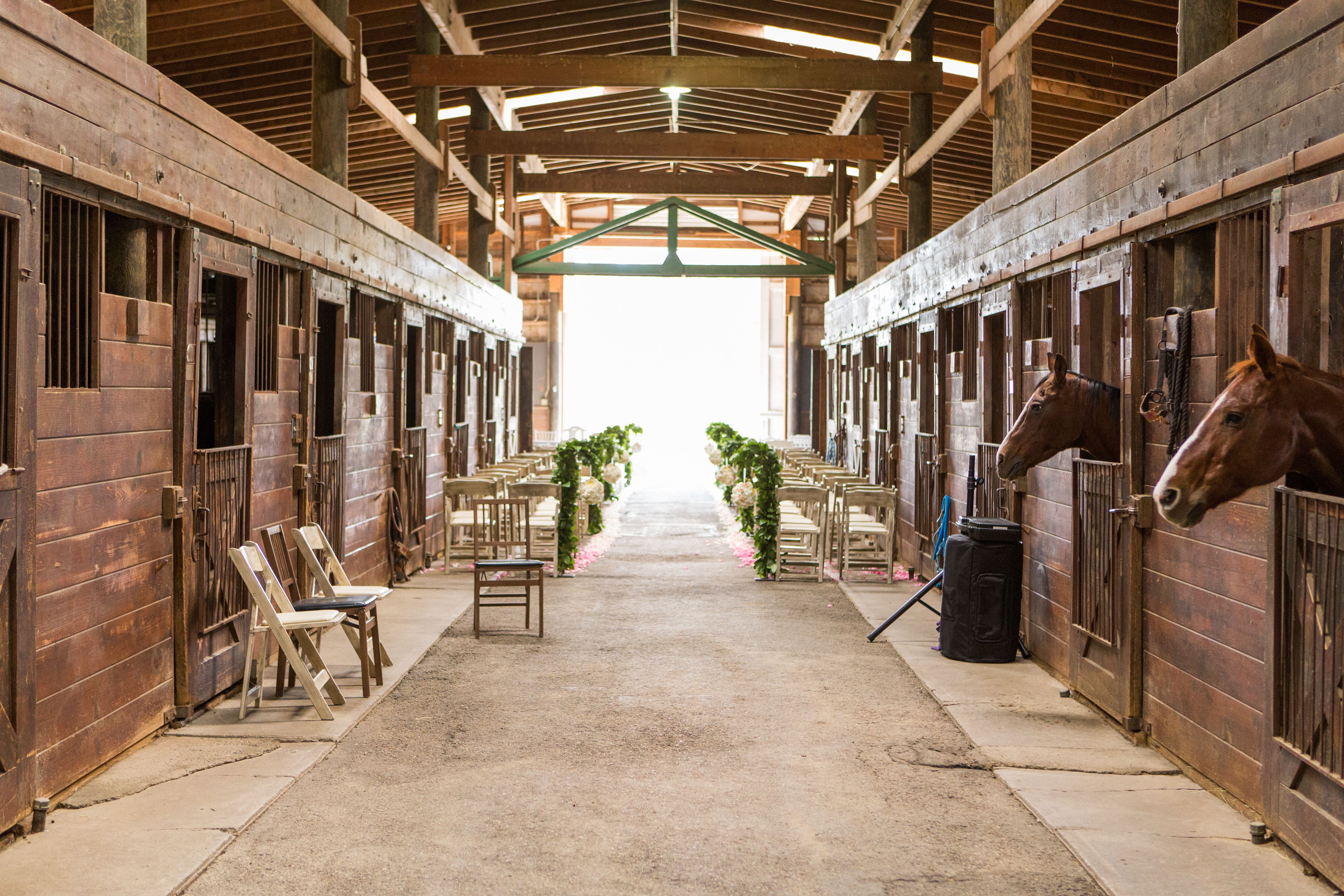 Horse and Stable Wedding