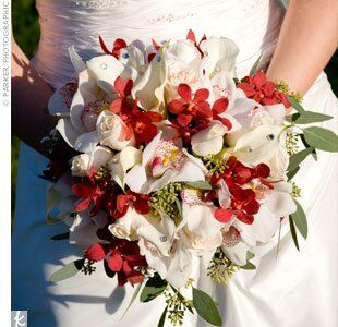 Ivory Vendela Roses