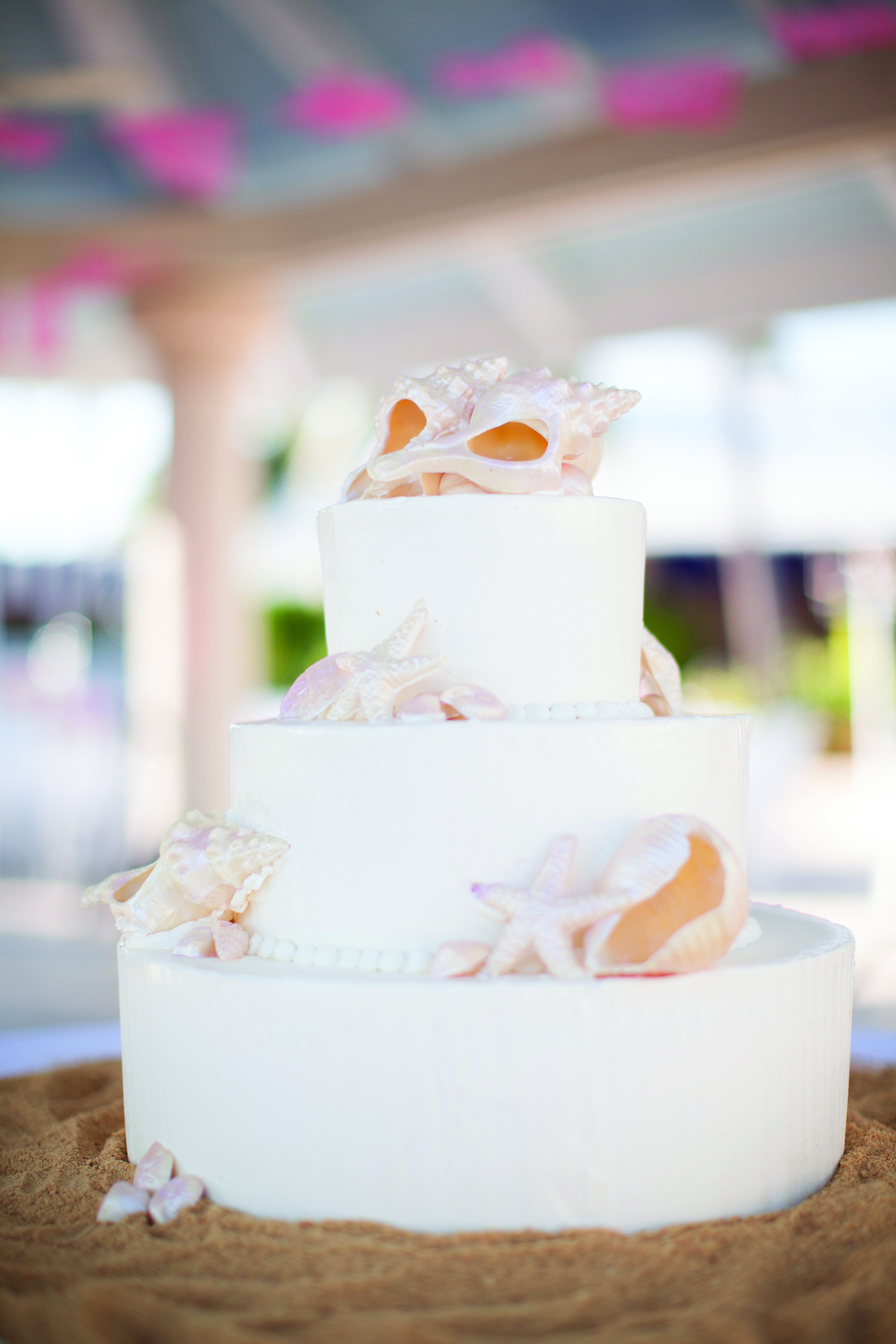 Seashell Cake